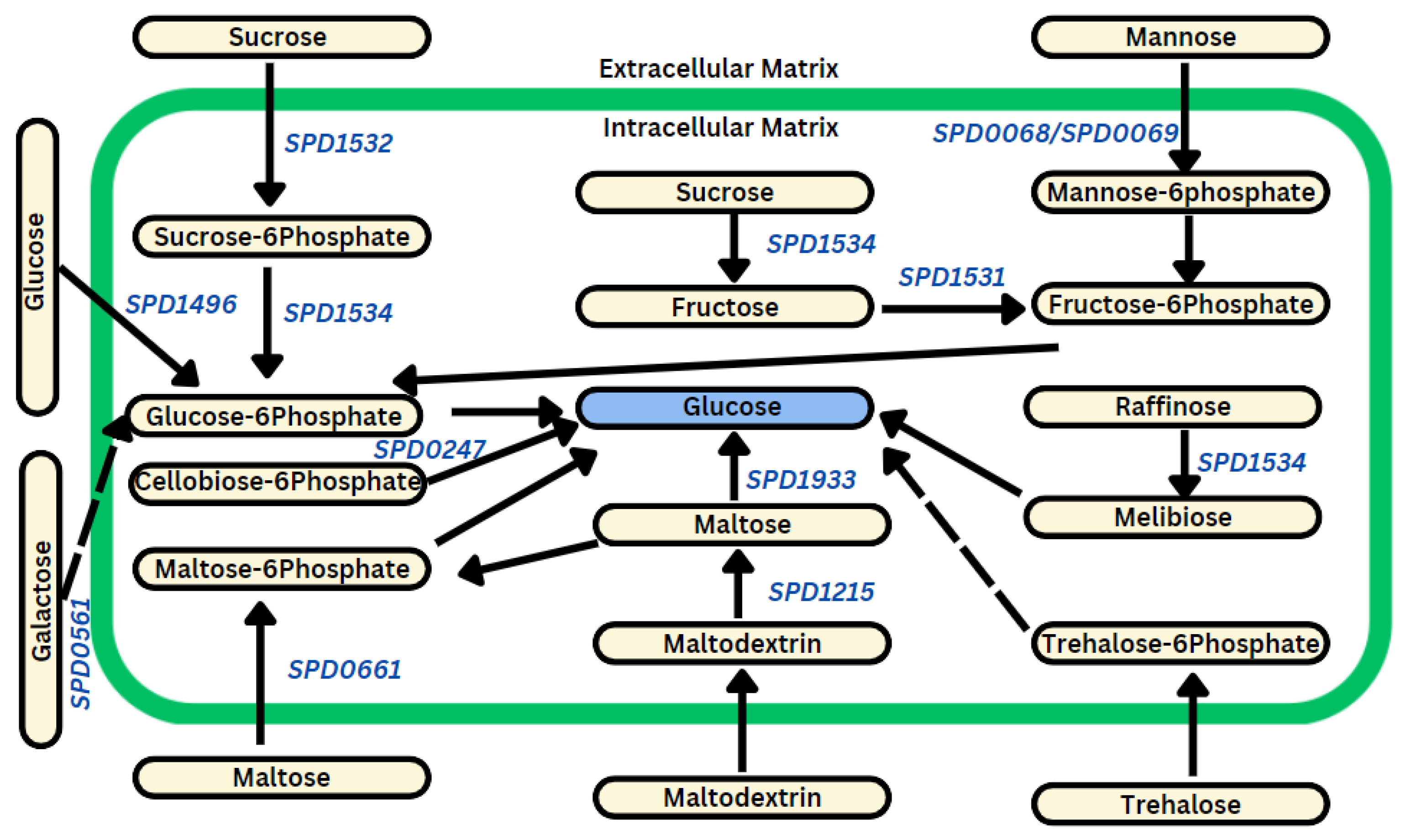 Biomolecules 14 00178 g004 Biomolecules 14 00178 g004