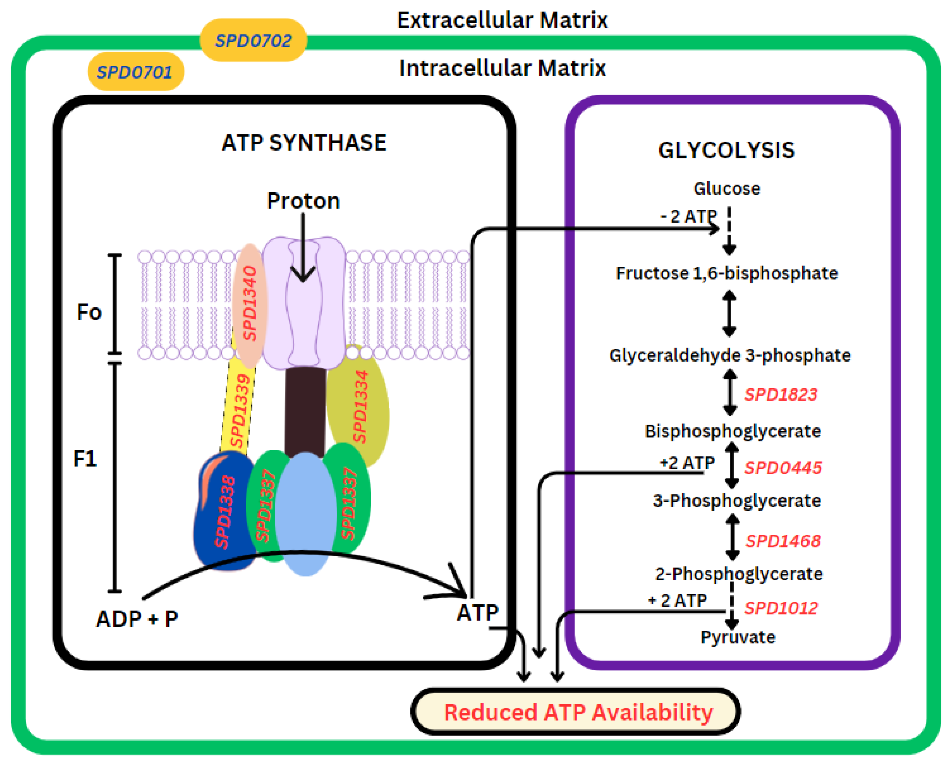 Biomolecules 14 00178 g005 Biomolecules 14 00178 g005