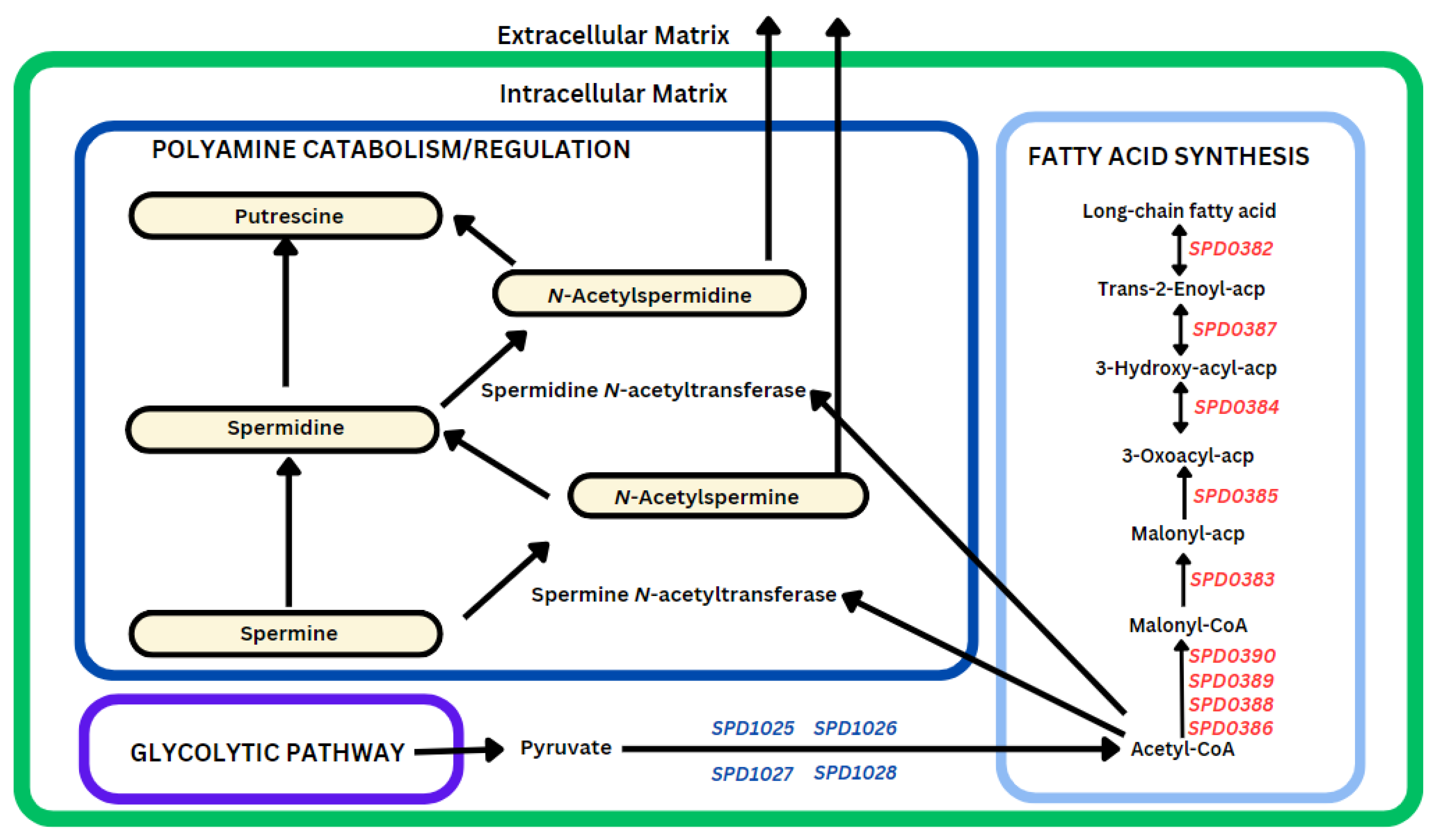Biomolecules 14 00178 g006 Biomolecules 14 00178 g006