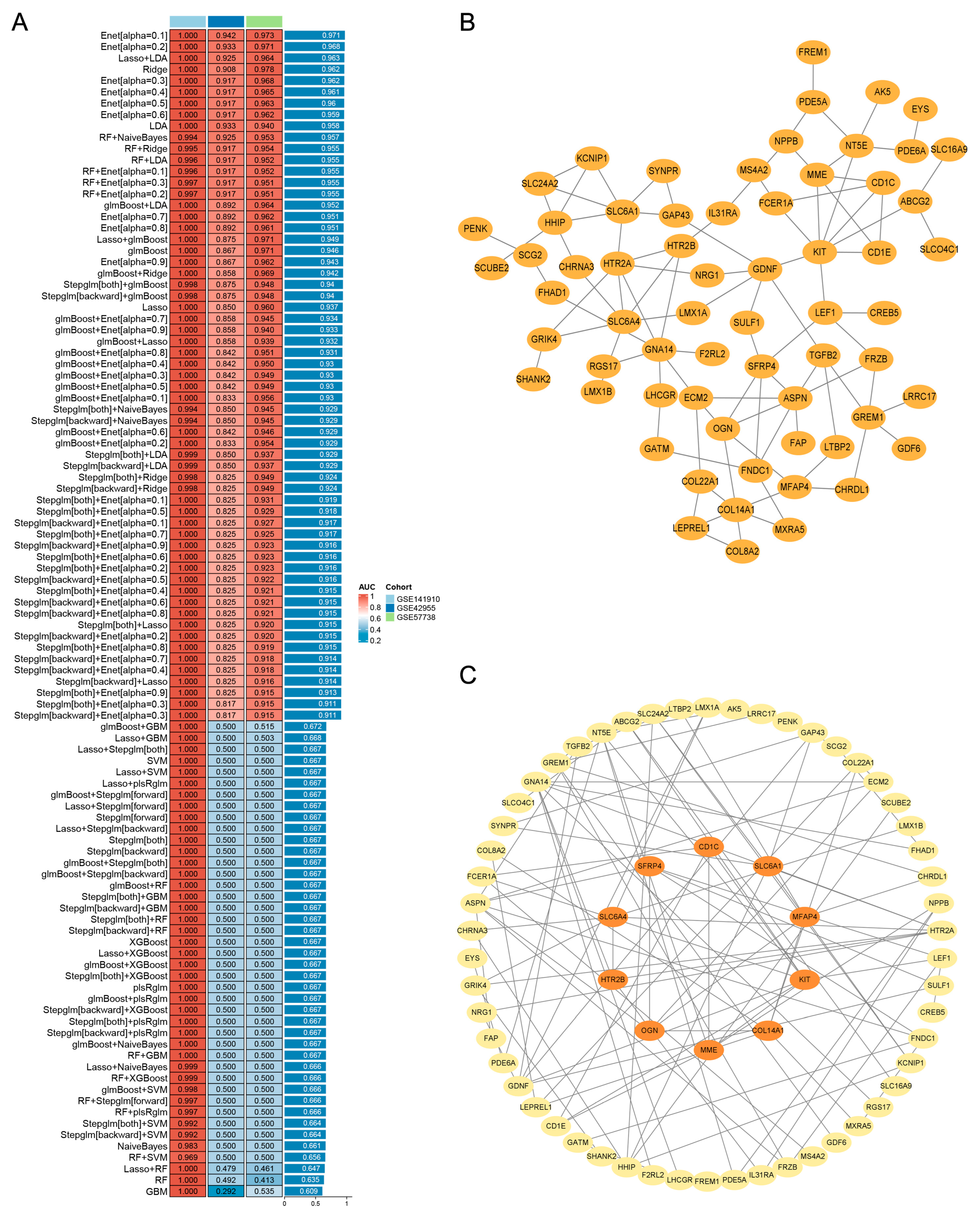 Biomolecules 14 00179 g004