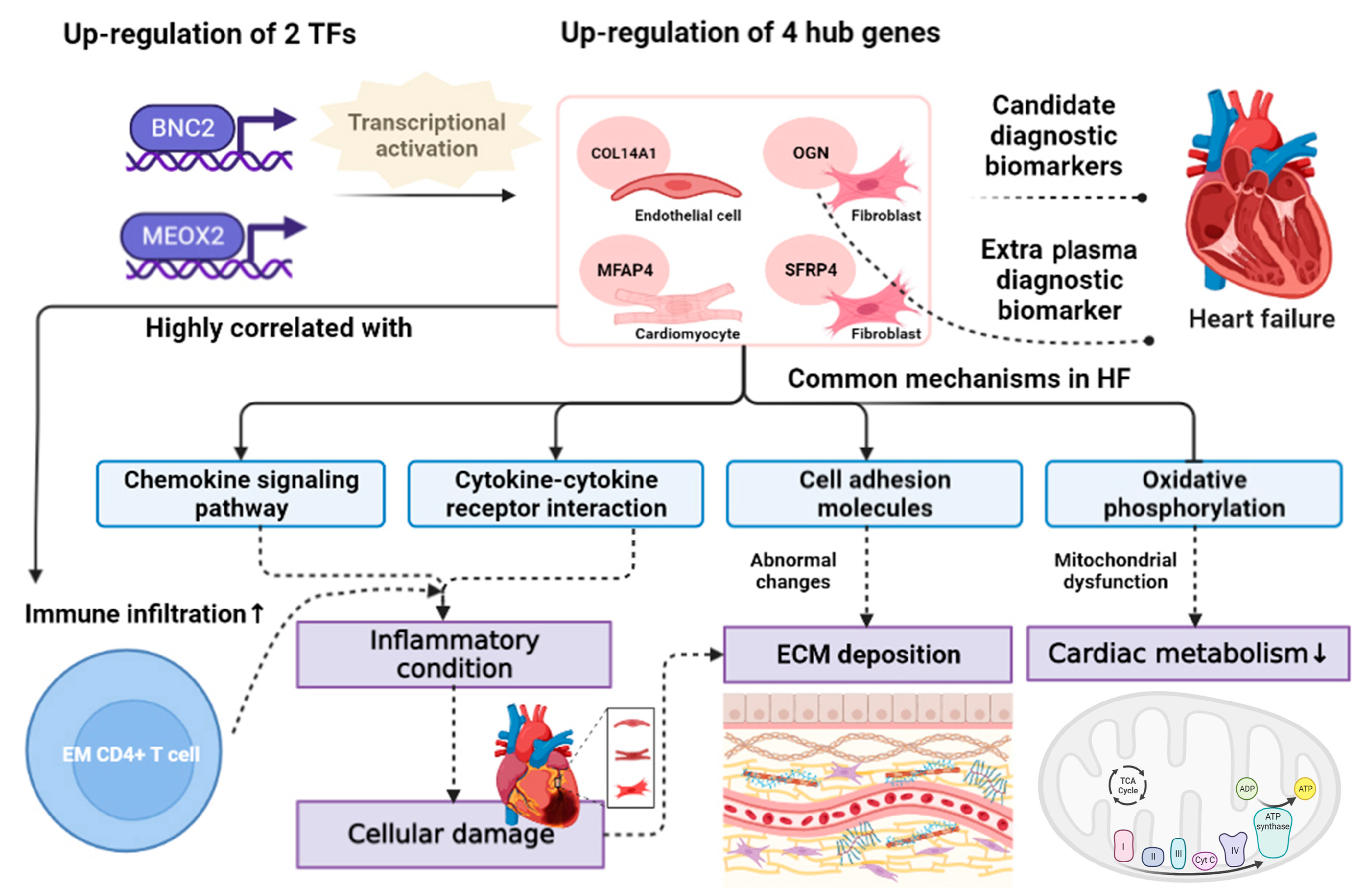 Biomolecules 14 00179 g011