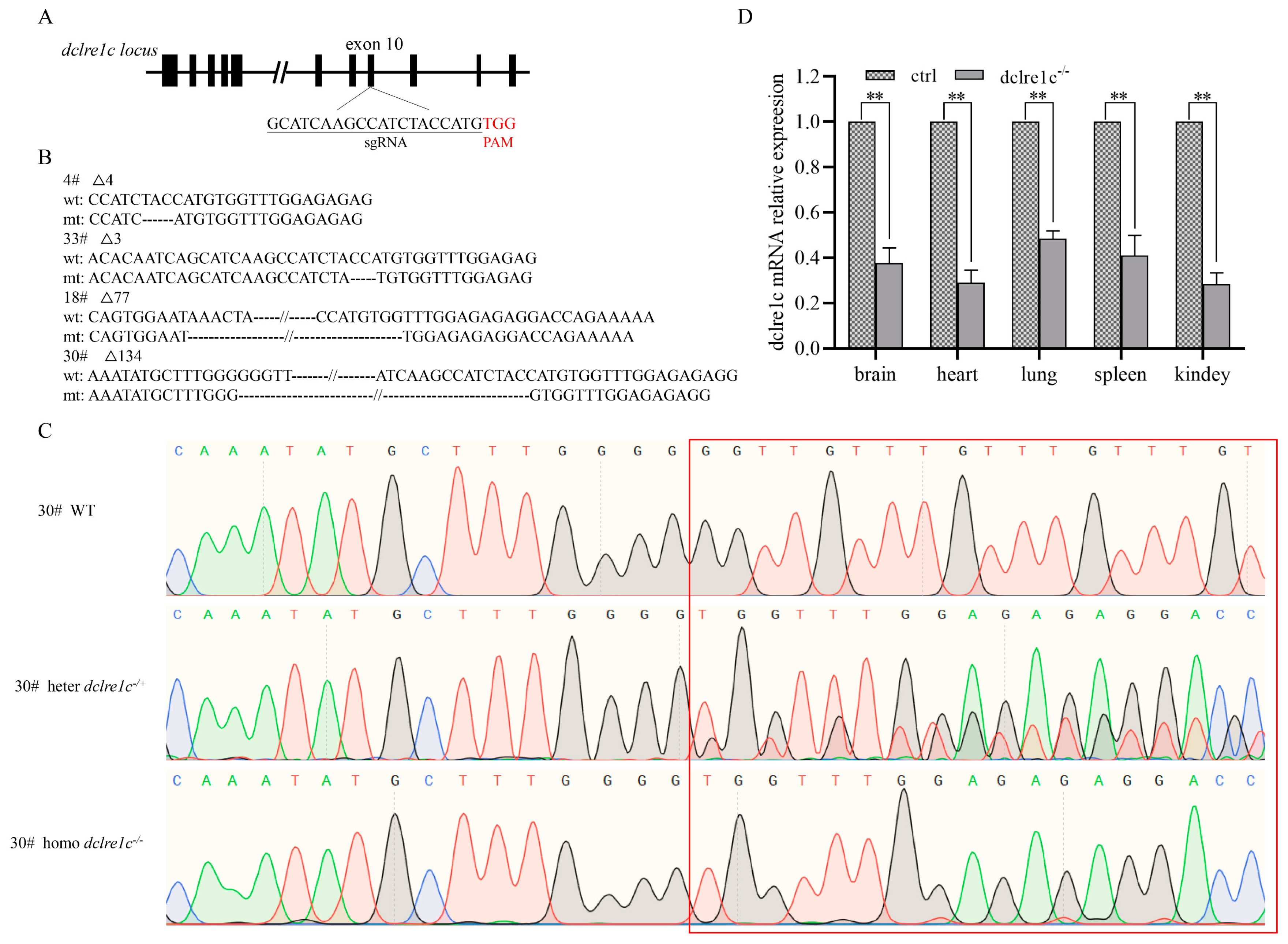 Biomolecules 14 00180 g001 Biomolecules 14 00180 g001