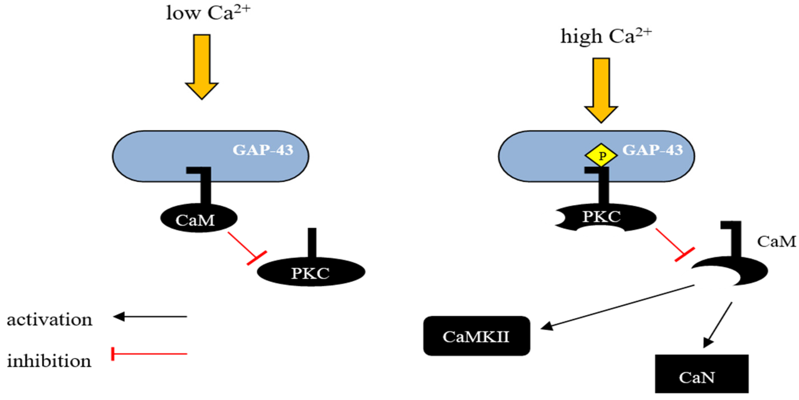 Biomolecules 14 00183 g001