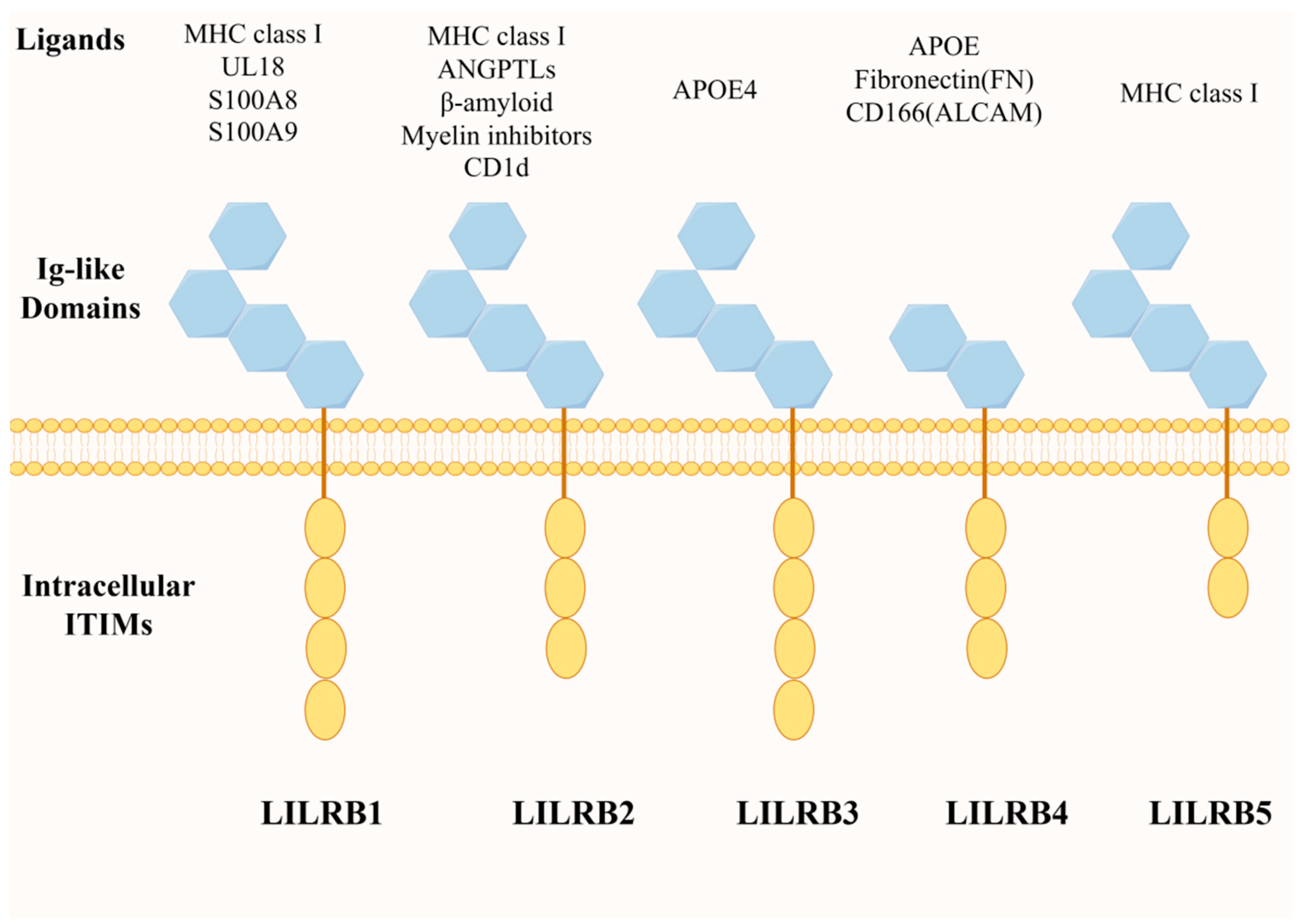 Biomolecules 14 00187 g001