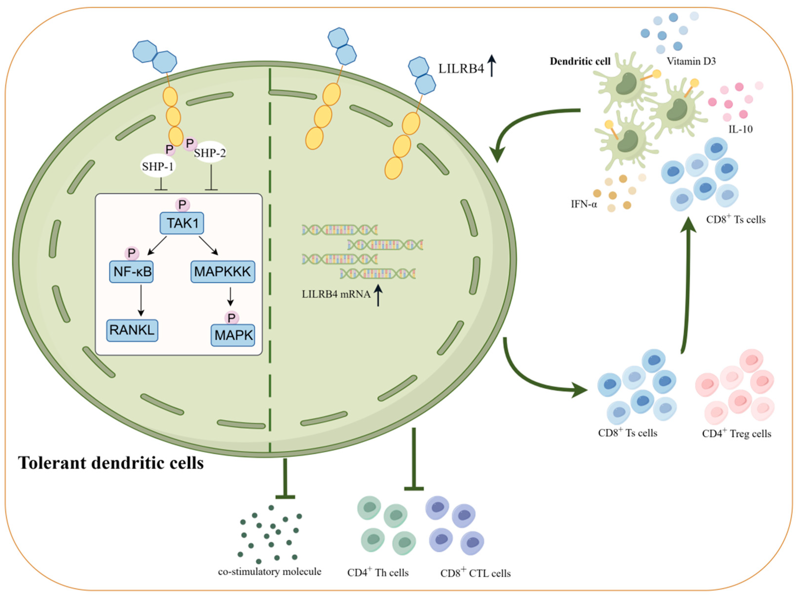 Biomolecules 14 00187 g003