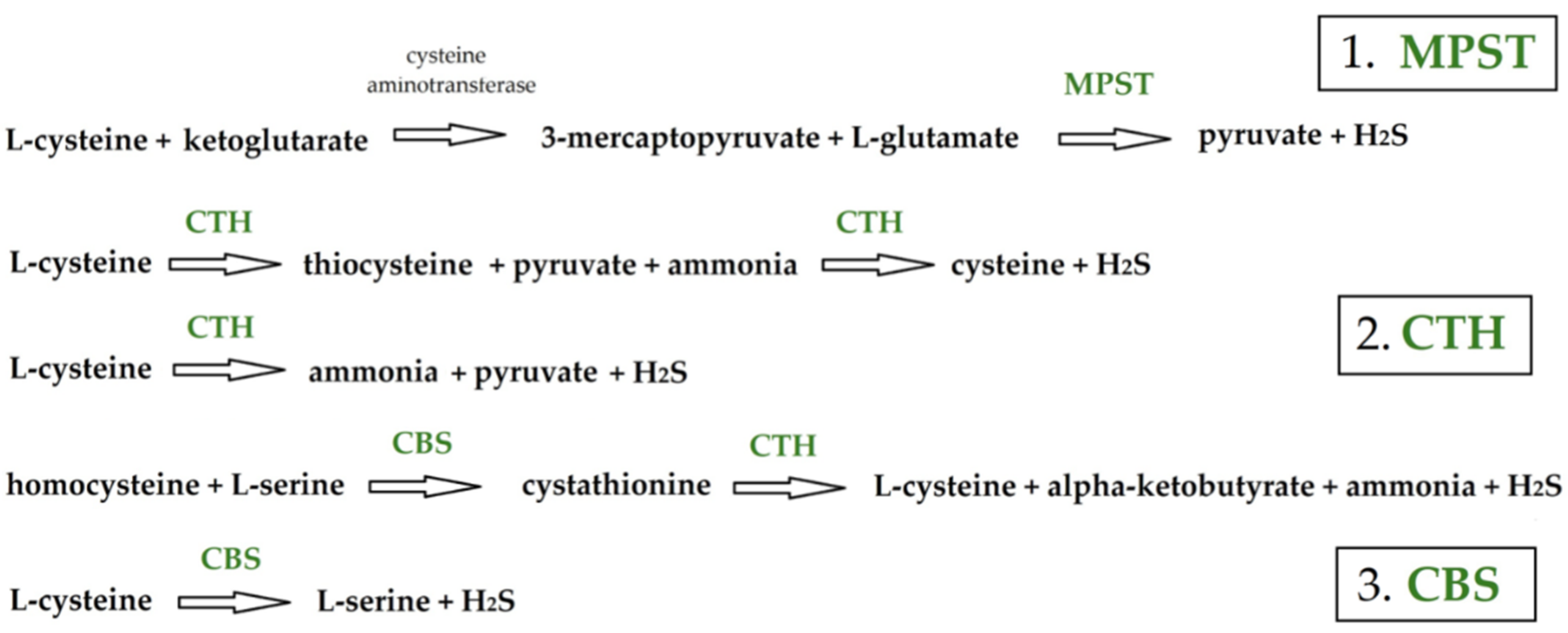 Biomolecules 14 00188 g001