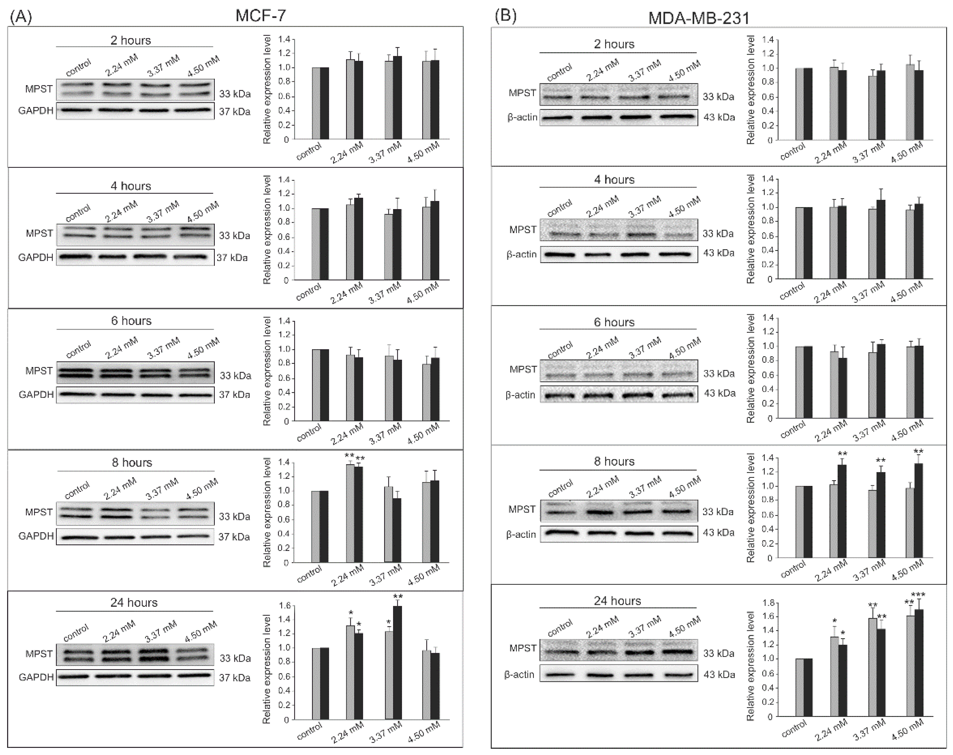 Biomolecules 14 00188 g003