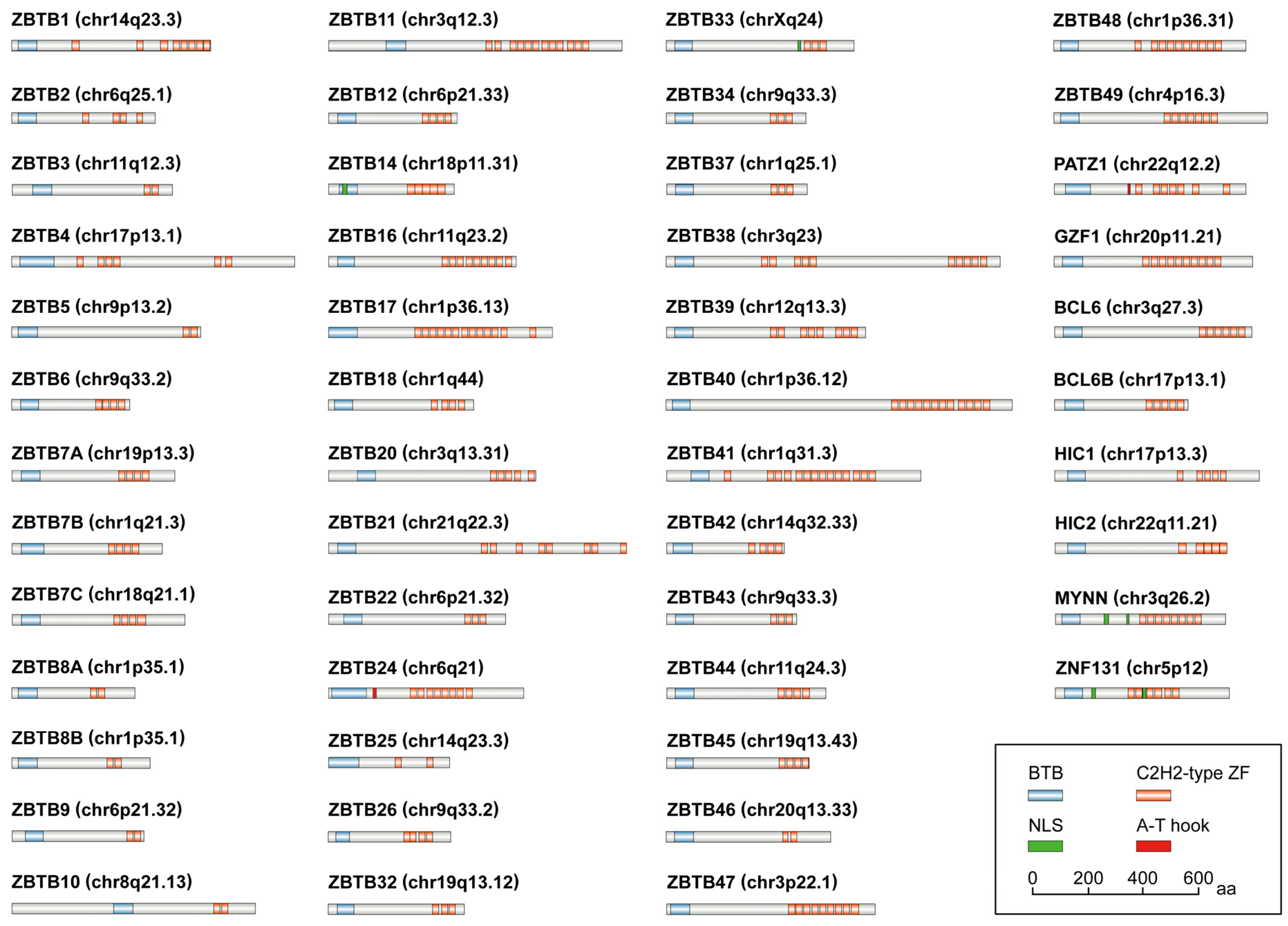 Biomolecules 14 00192 g001 Biomolecules 14 00192 g001