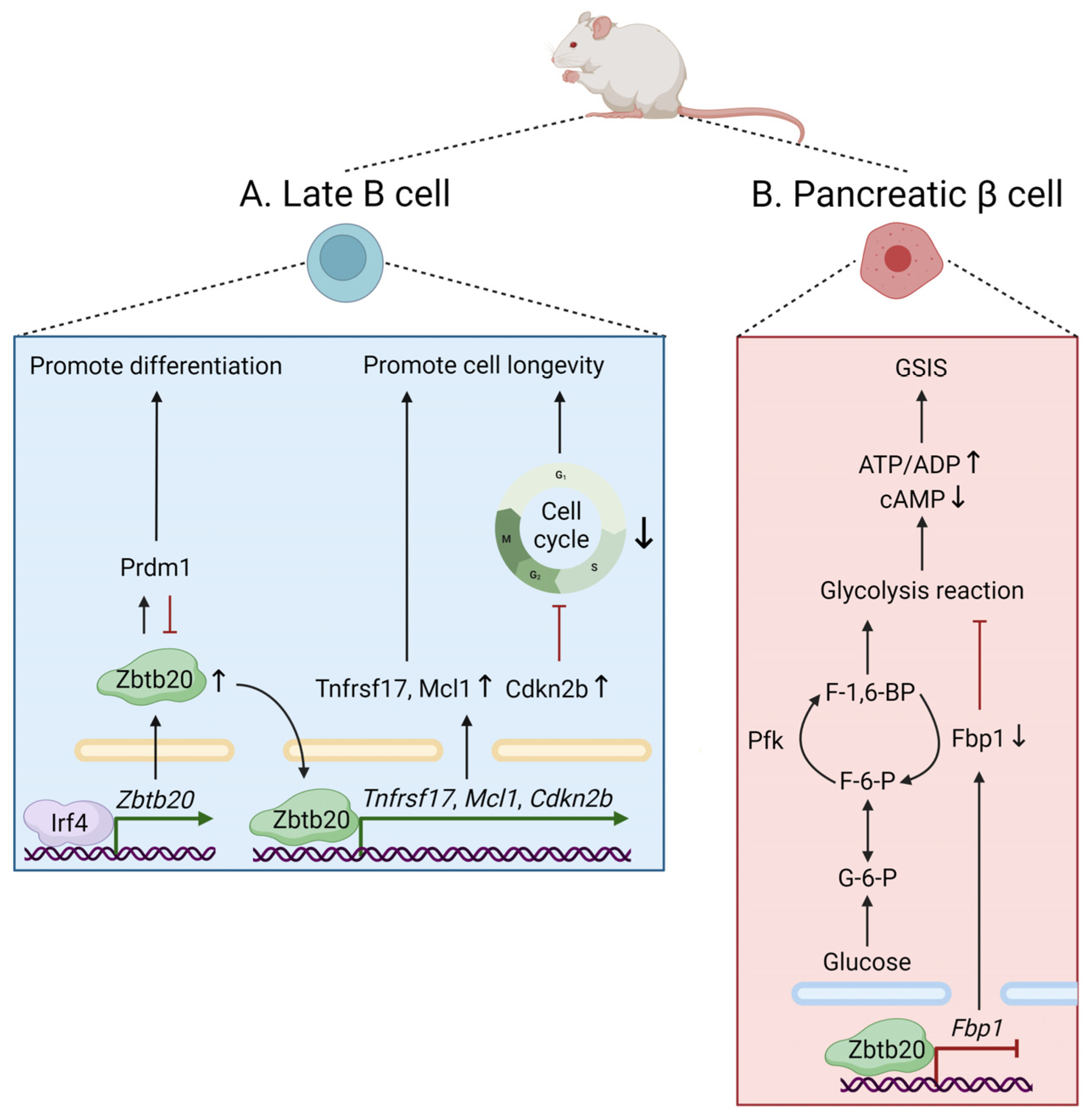 Biomolecules 14 00192 g002 Biomolecules 14 00192 g002