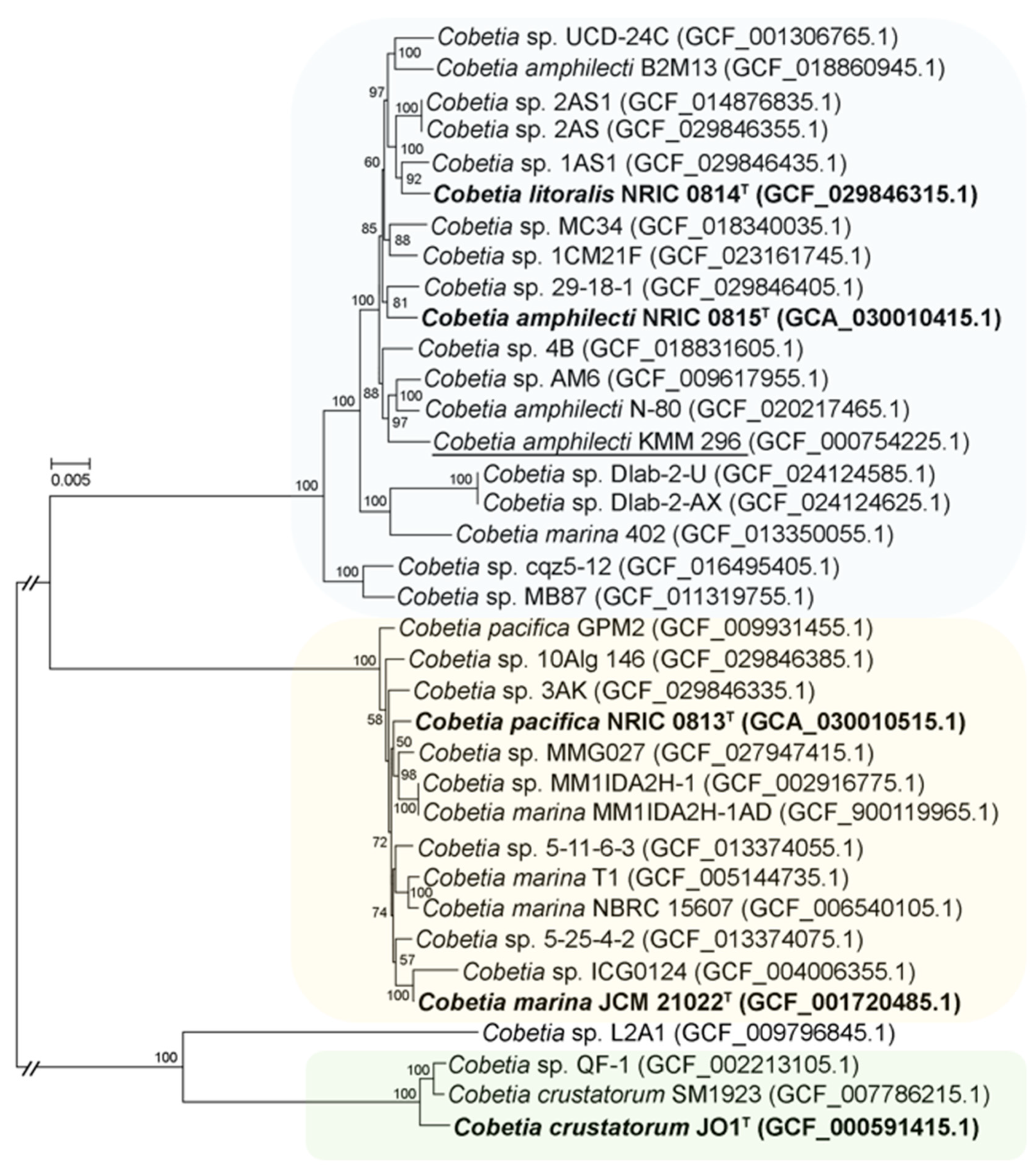 Biomolecules 14 00196 g002