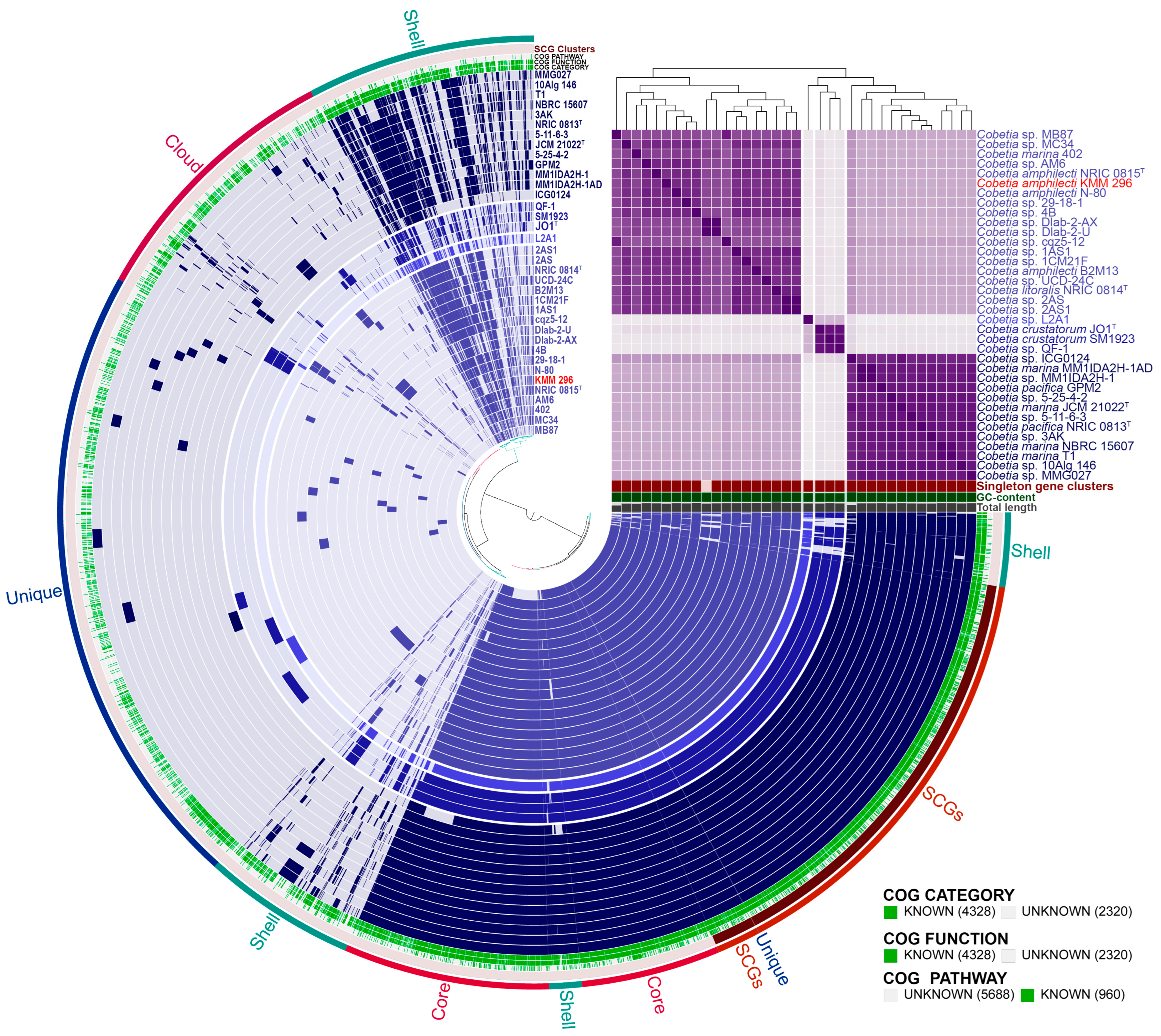 Biomolecules 14 00196 g003