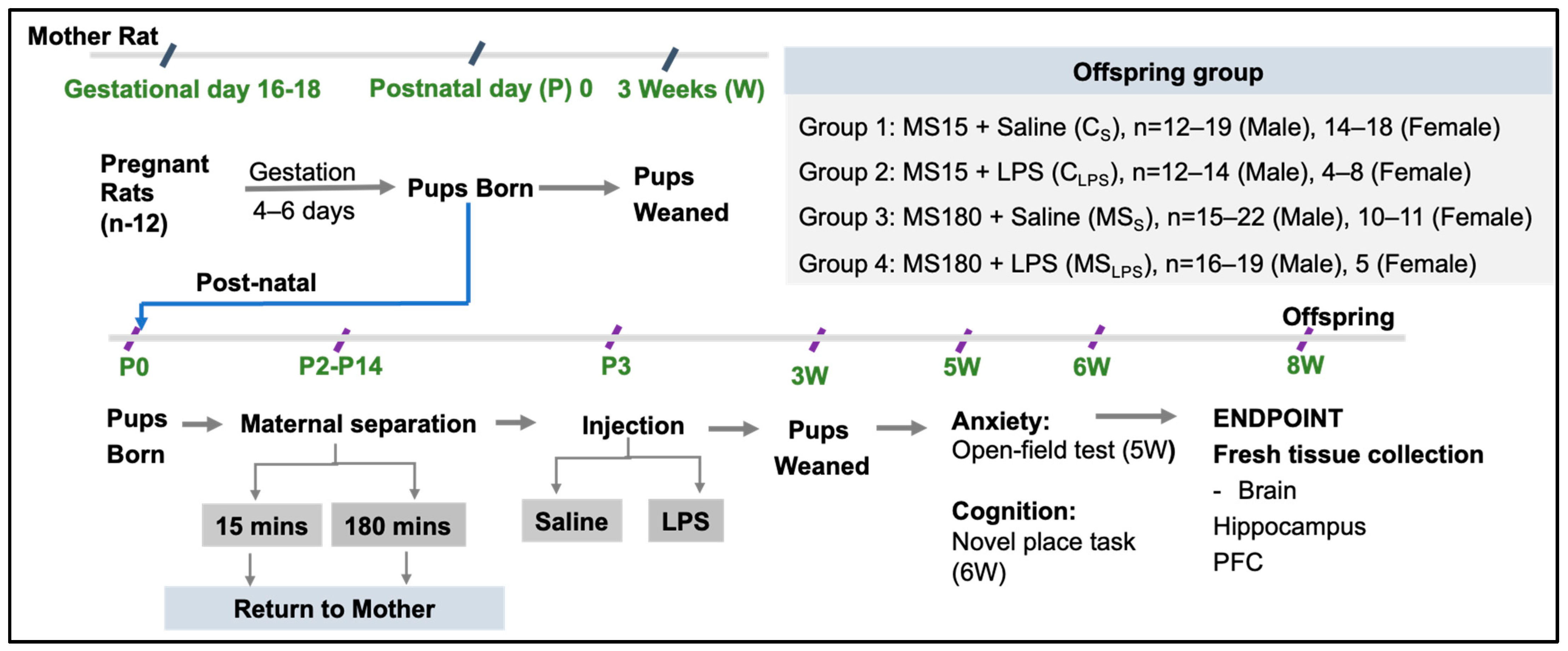 Biomolecules 14 00197 g001 Biomolecules 14 00197 g001