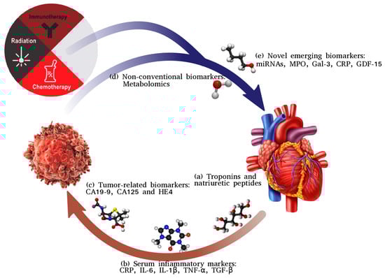 Biomolecules 14 00199 g001