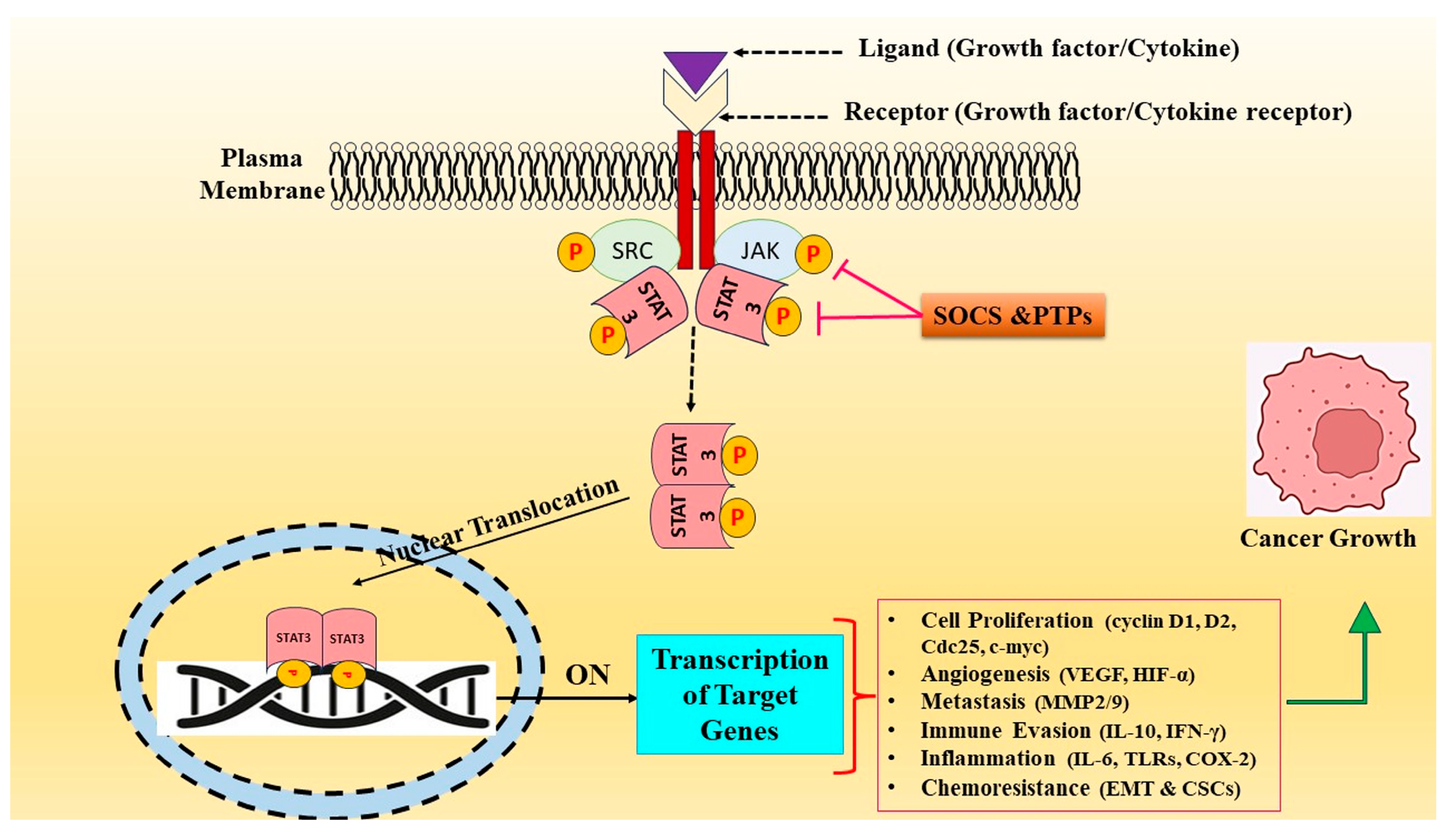 Biomolecules 14 00200 g001