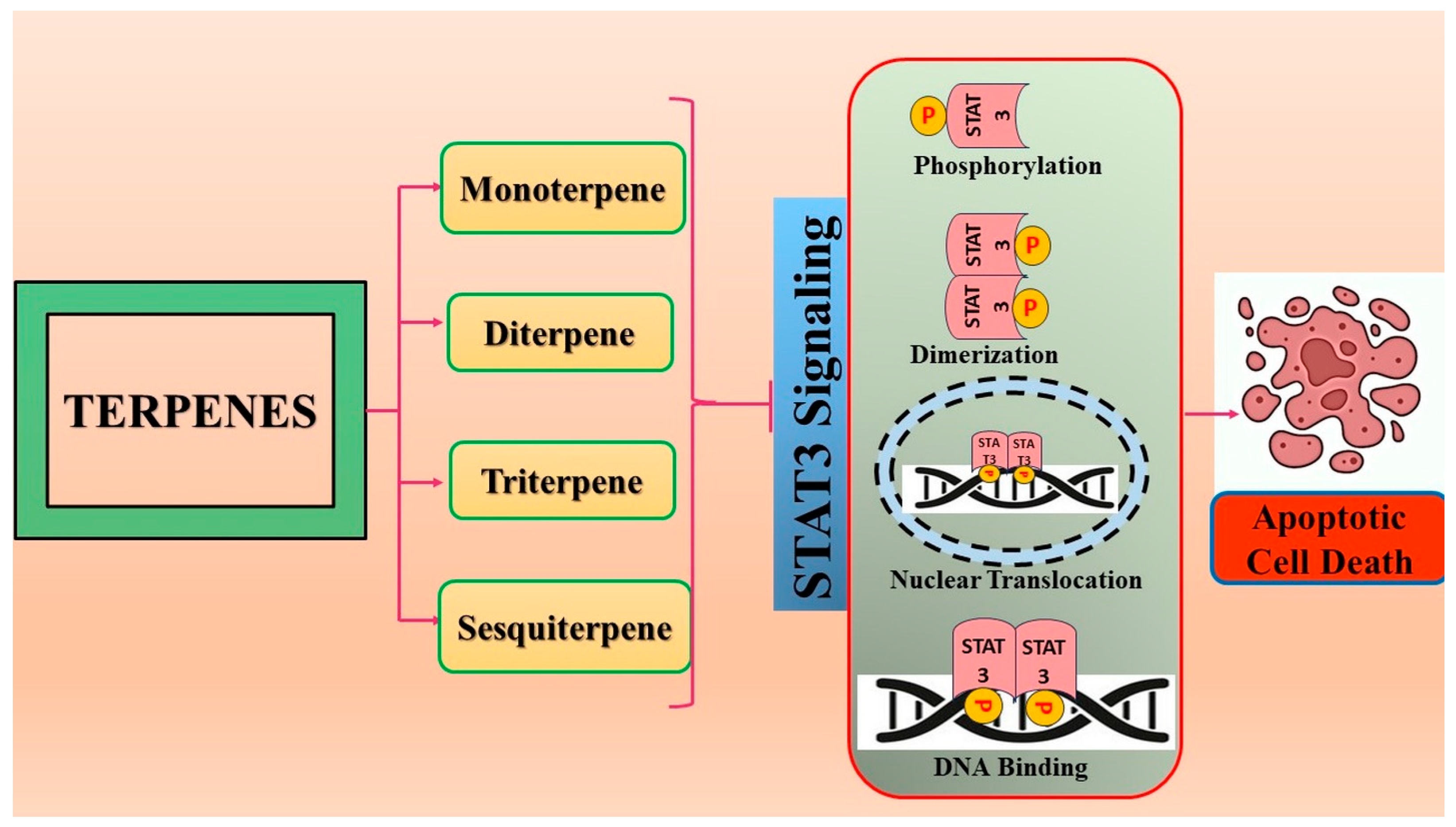 Biomolecules 14 00200 g002