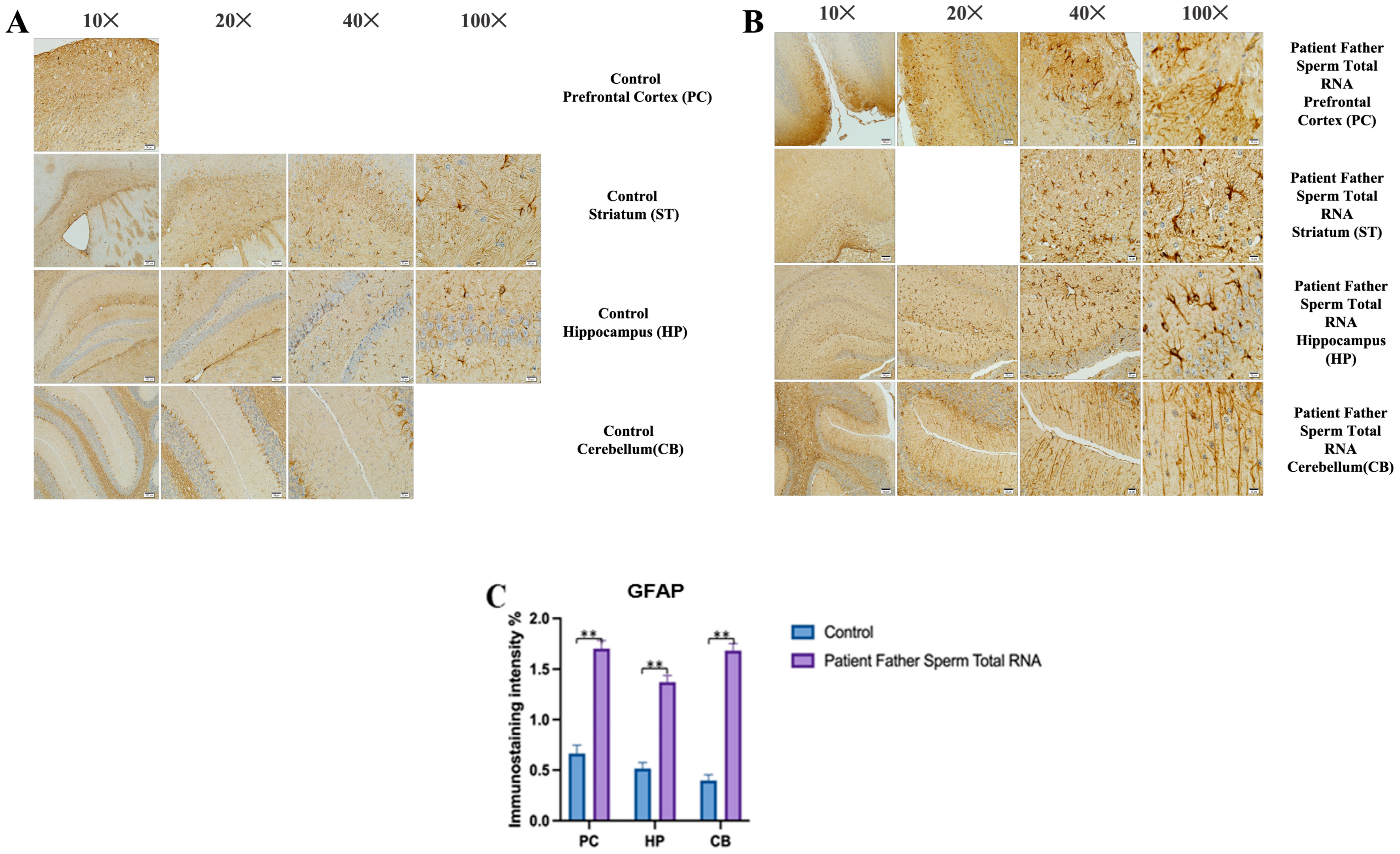 Biomolecules 14 00201 g005