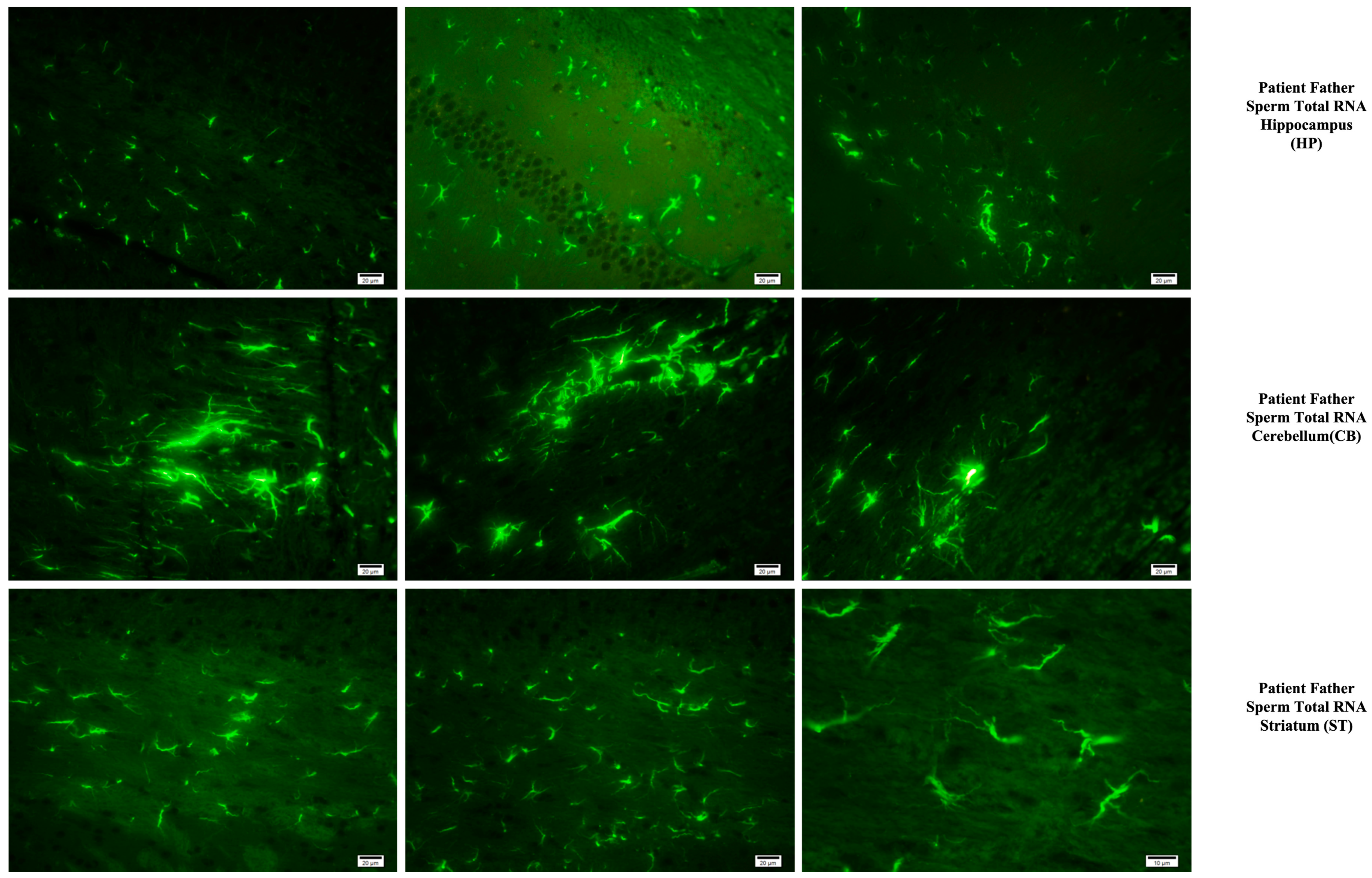 Biomolecules 14 00201 g007