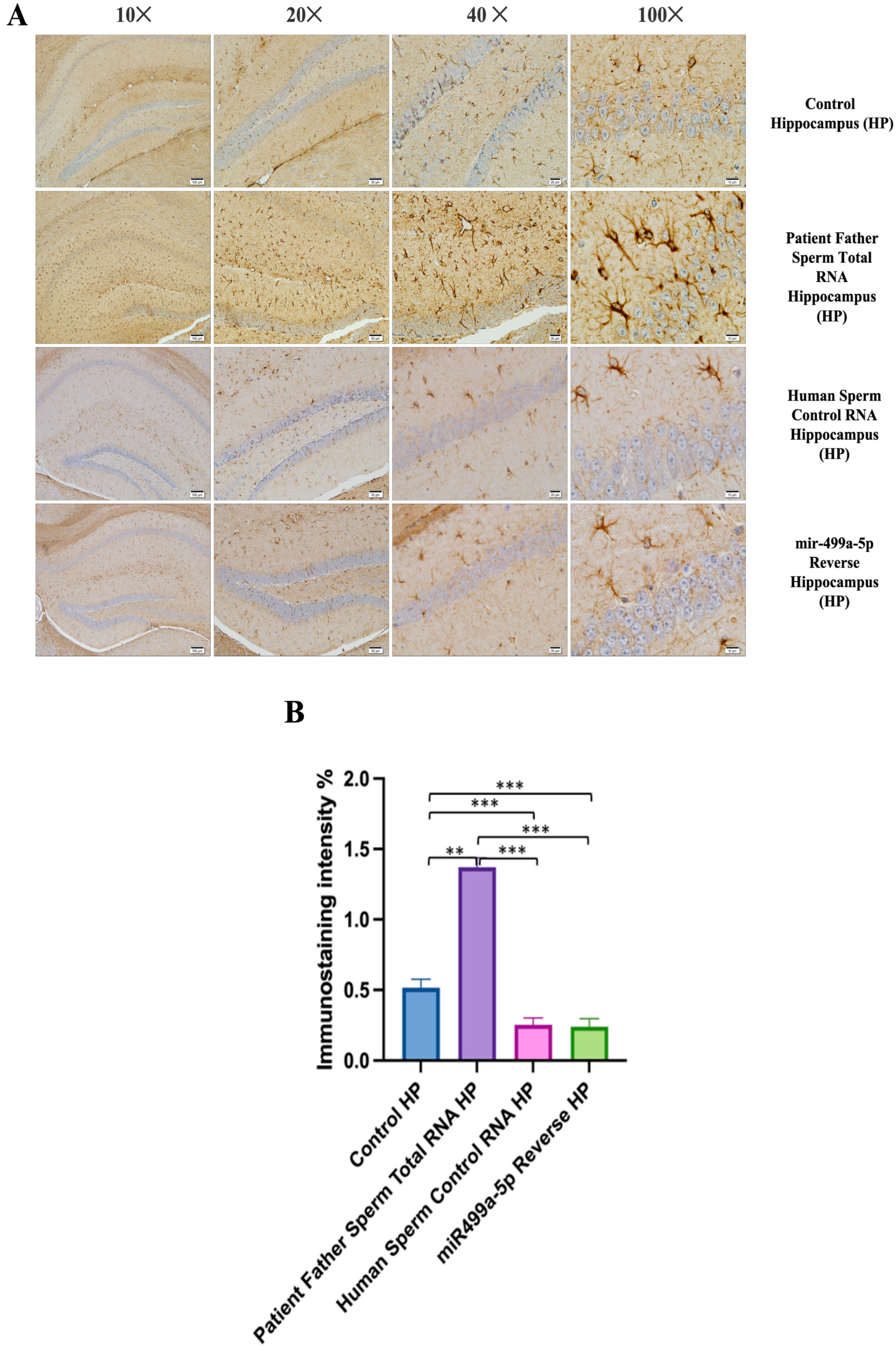 Biomolecules 14 00201 g008