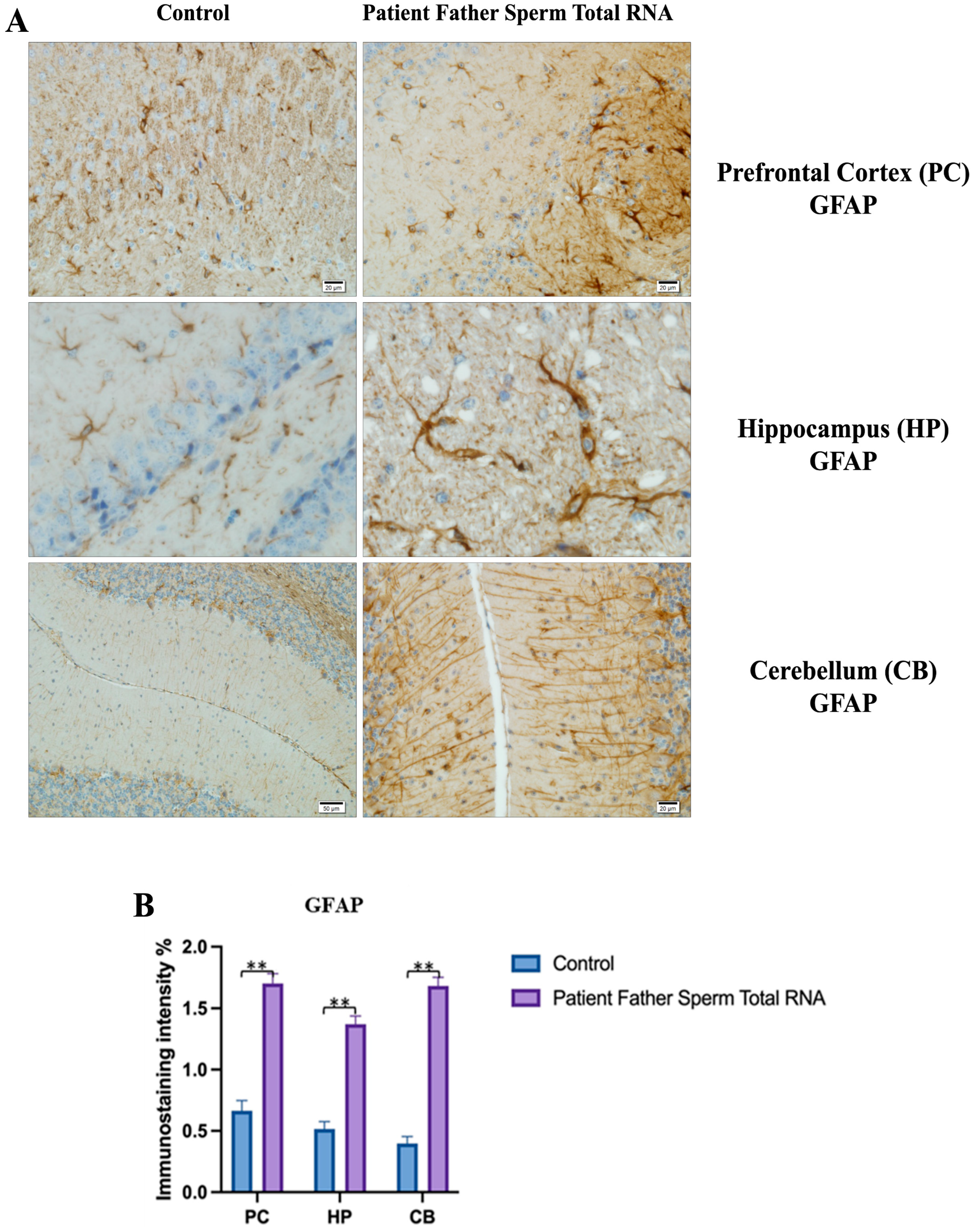 Biomolecules 14 00201 g009