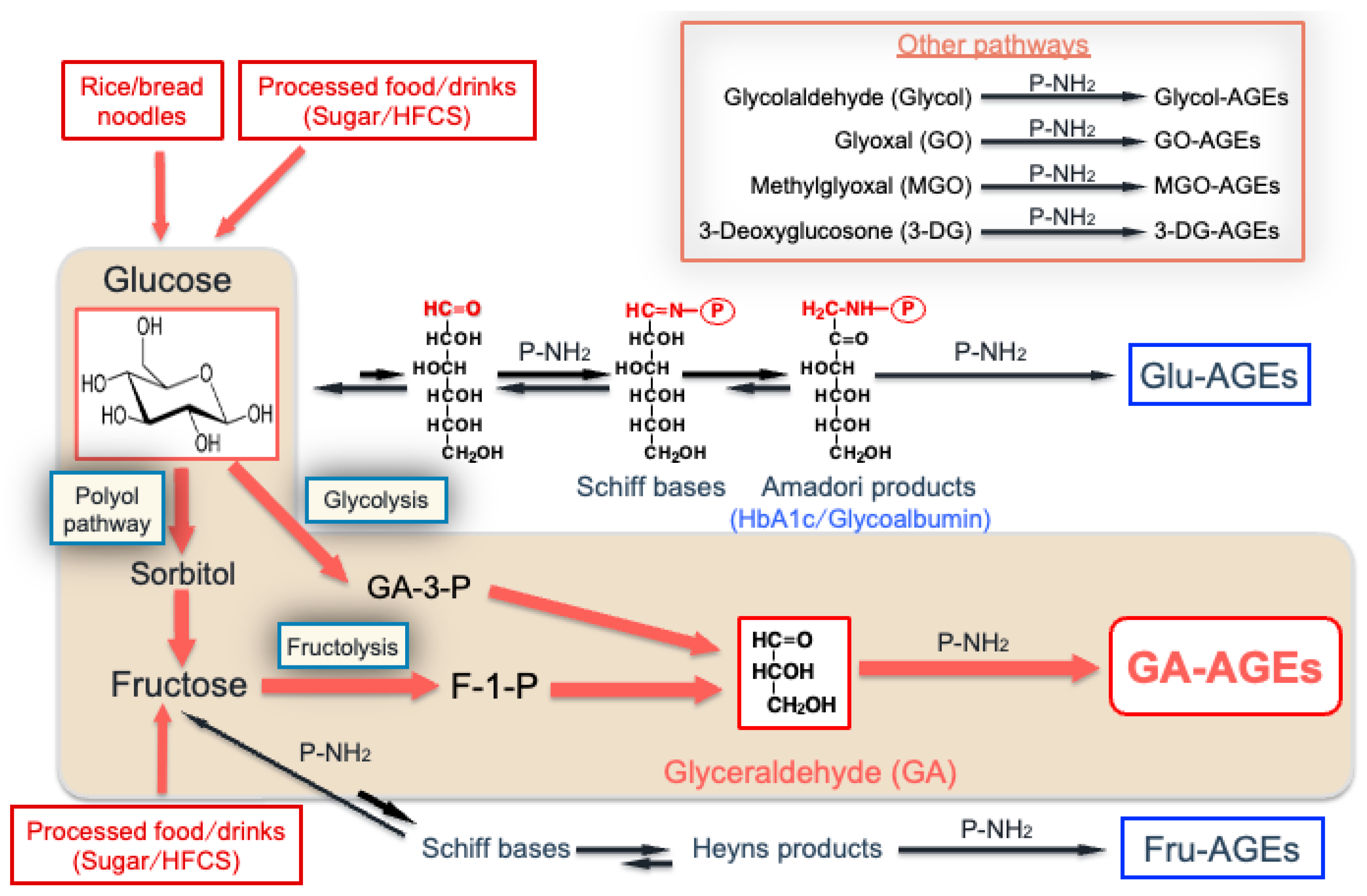 Biomolecules 14 00202 g001