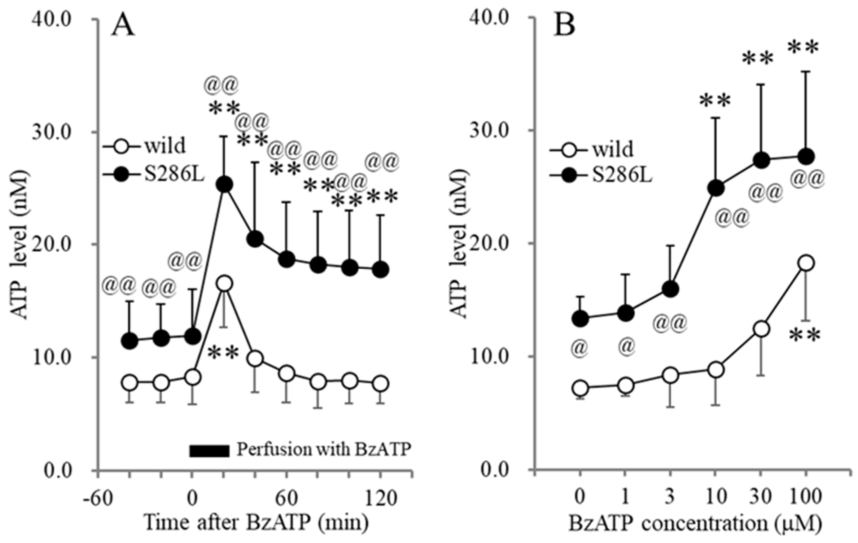 Biomolecules 14 00204 g001