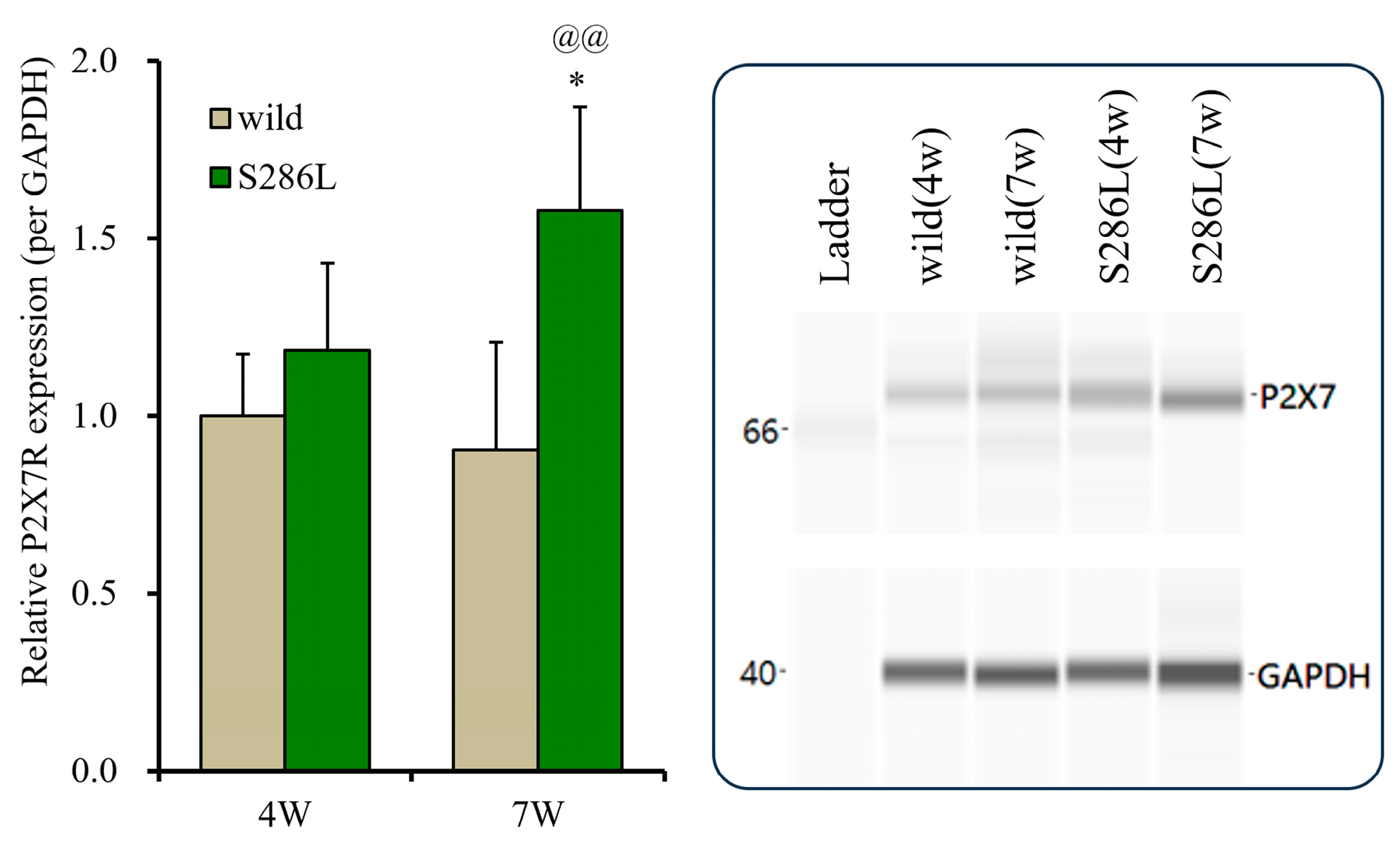 Biomolecules 14 00204 g005
