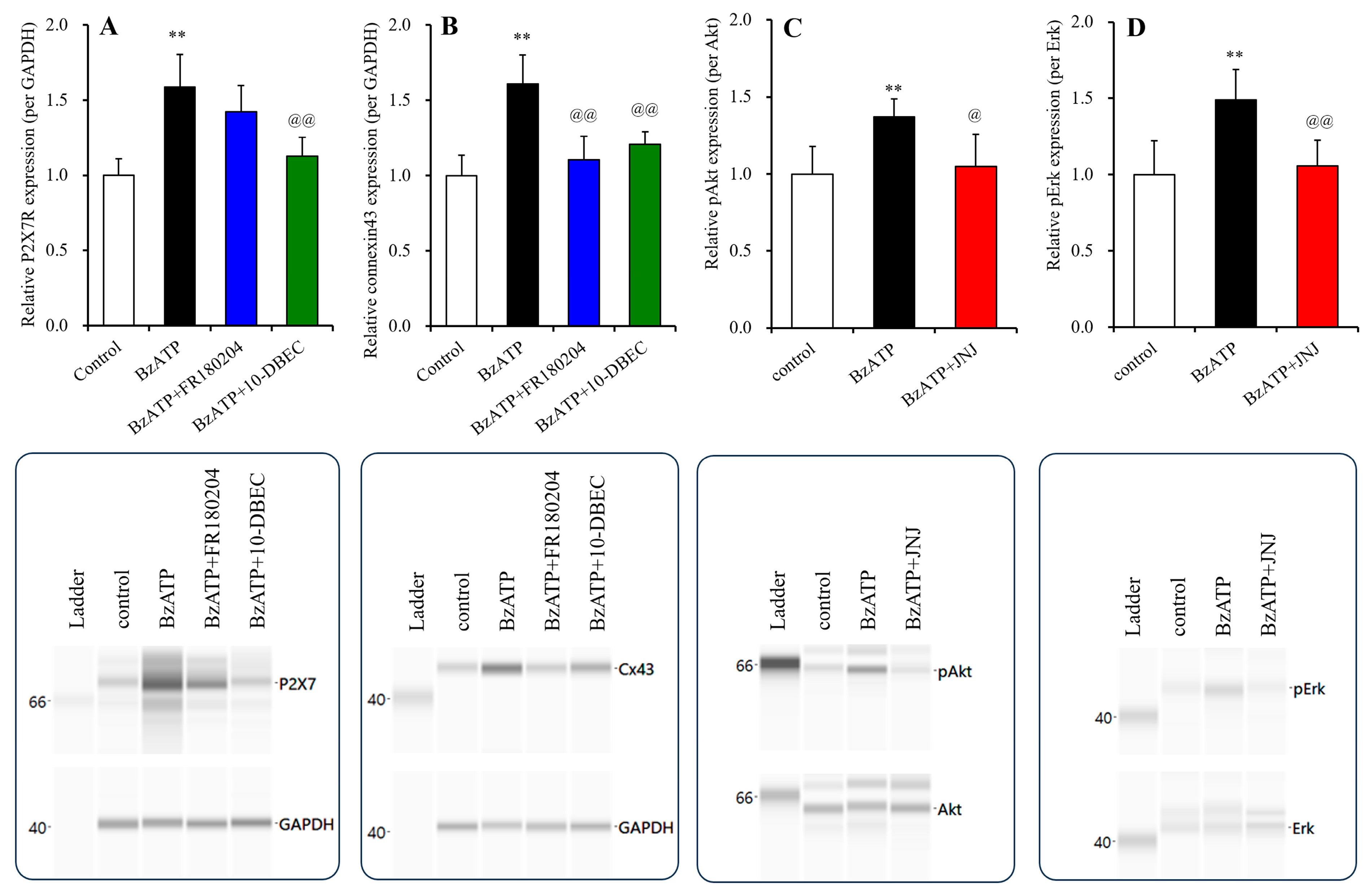 Biomolecules 14 00204 g008