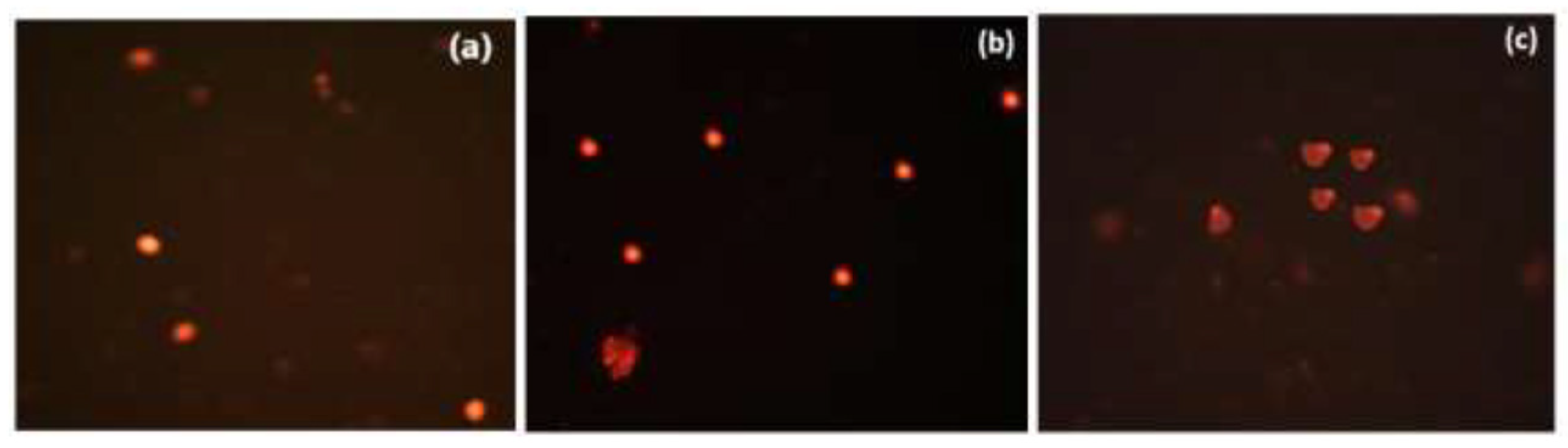 Biomolecules 14 00216 g008