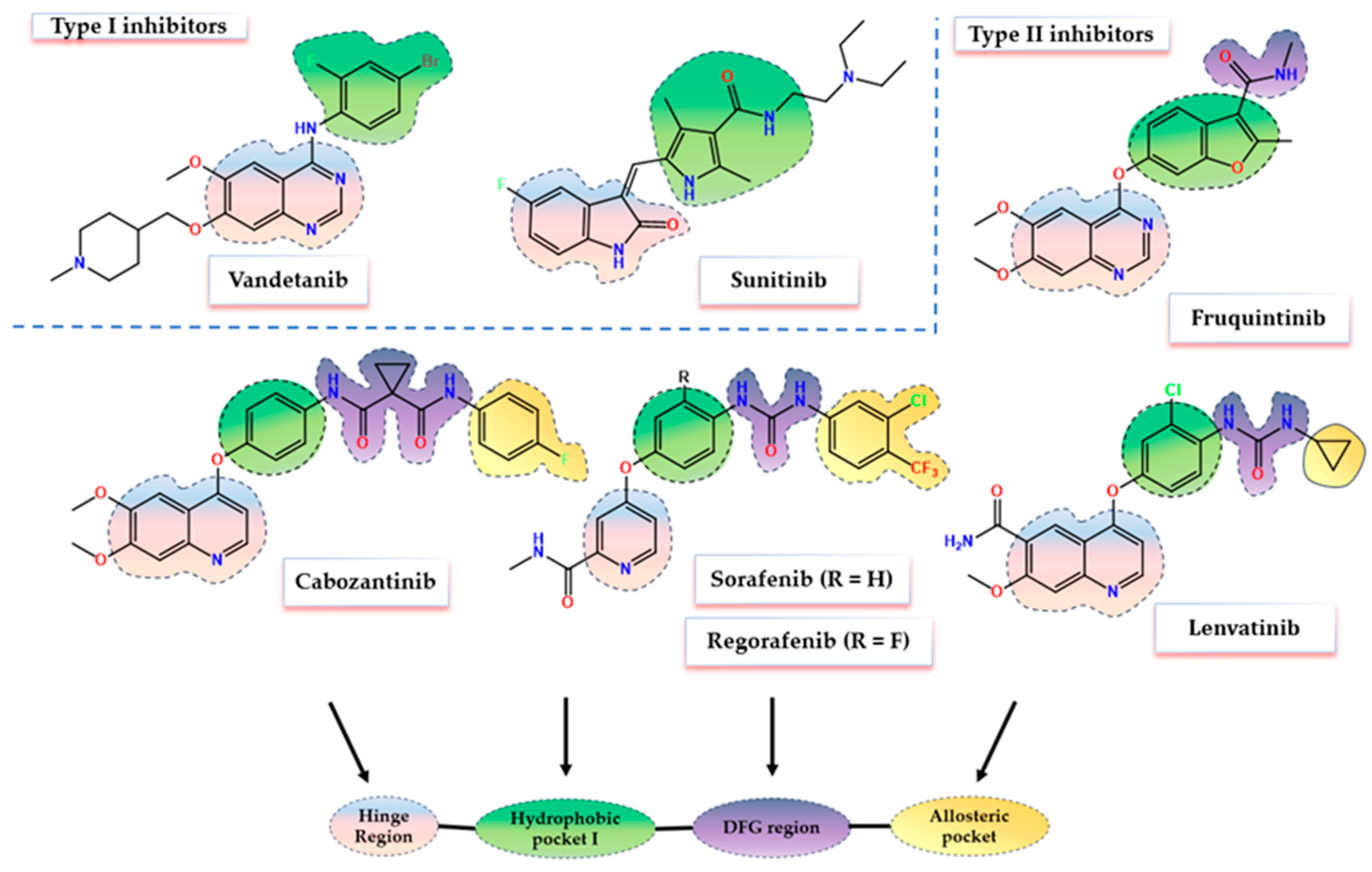 Biomolecules 14 00218 g001