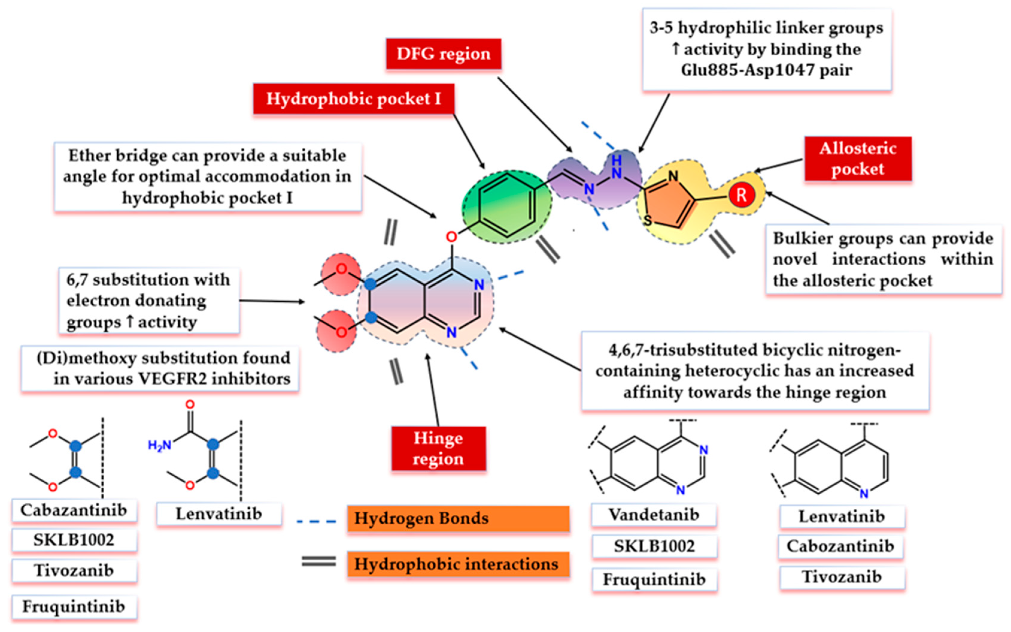 Biomolecules 14 00218 g002