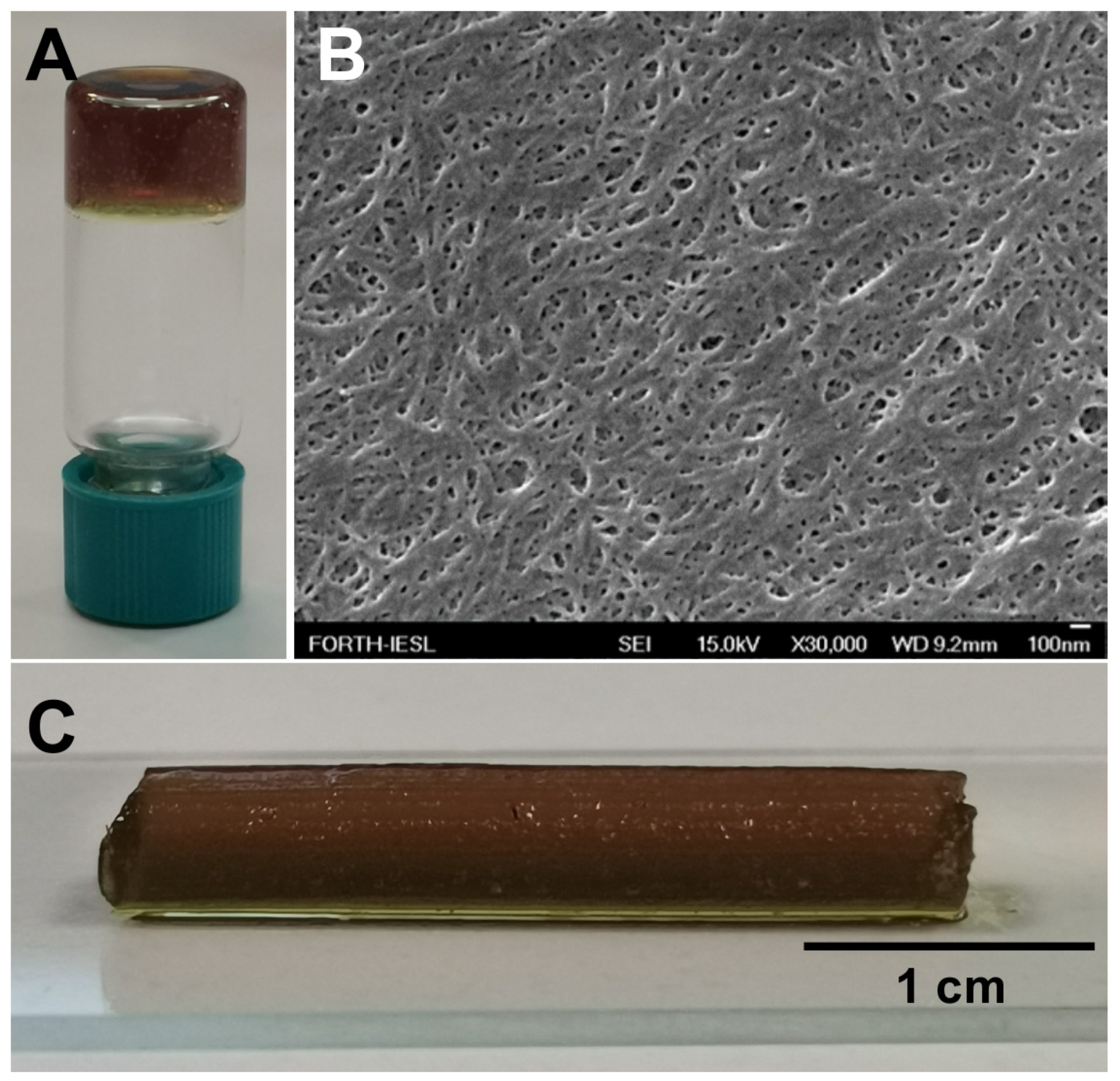 Biomolecules 14 00226 g004