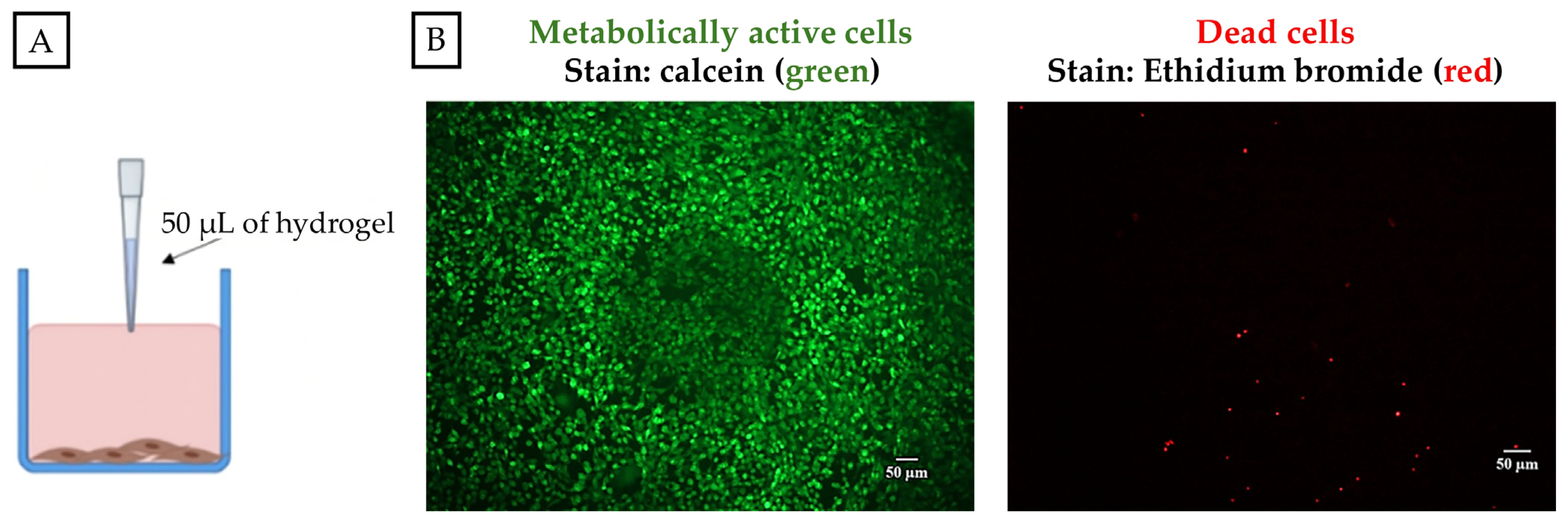 Biomolecules 14 00226 g007