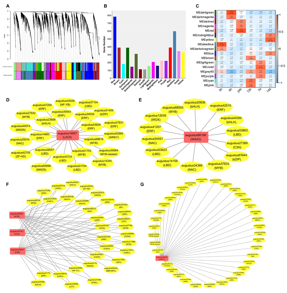 Biomolecules 14 00227 g006
