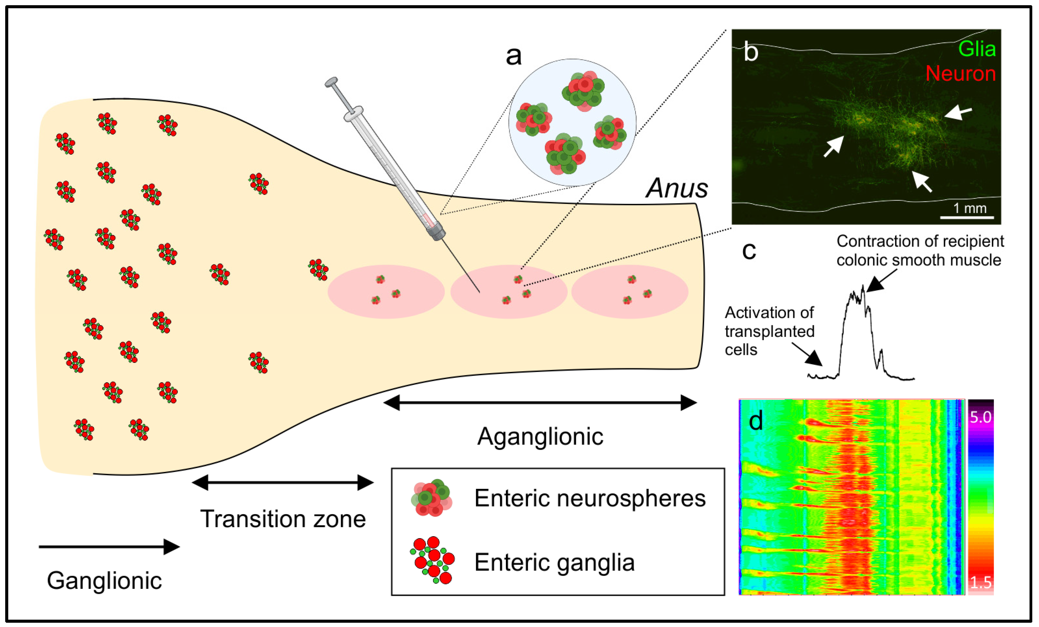 Biomolecules 14 00229 g001