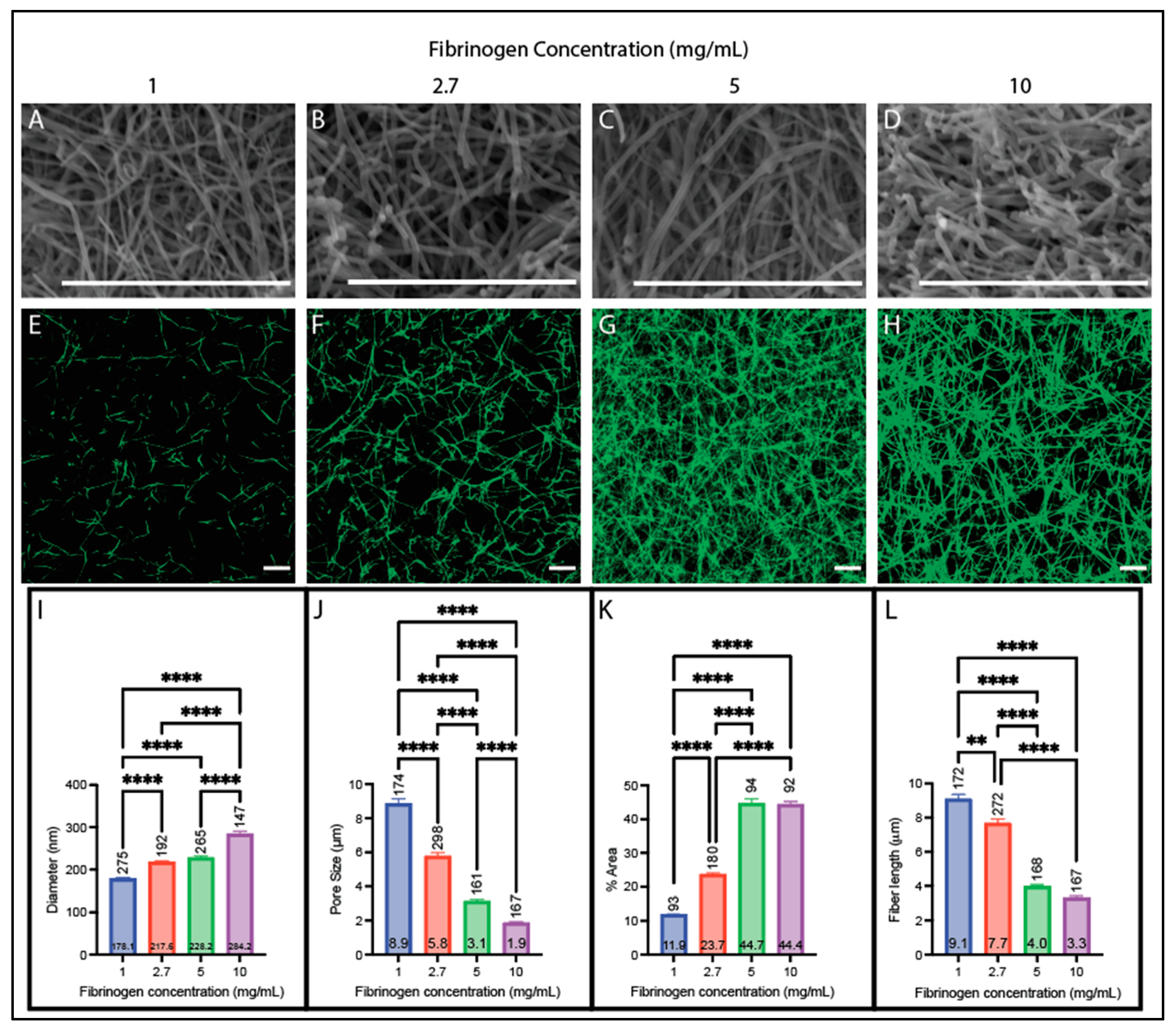 Biomolecules 14 00230 g001