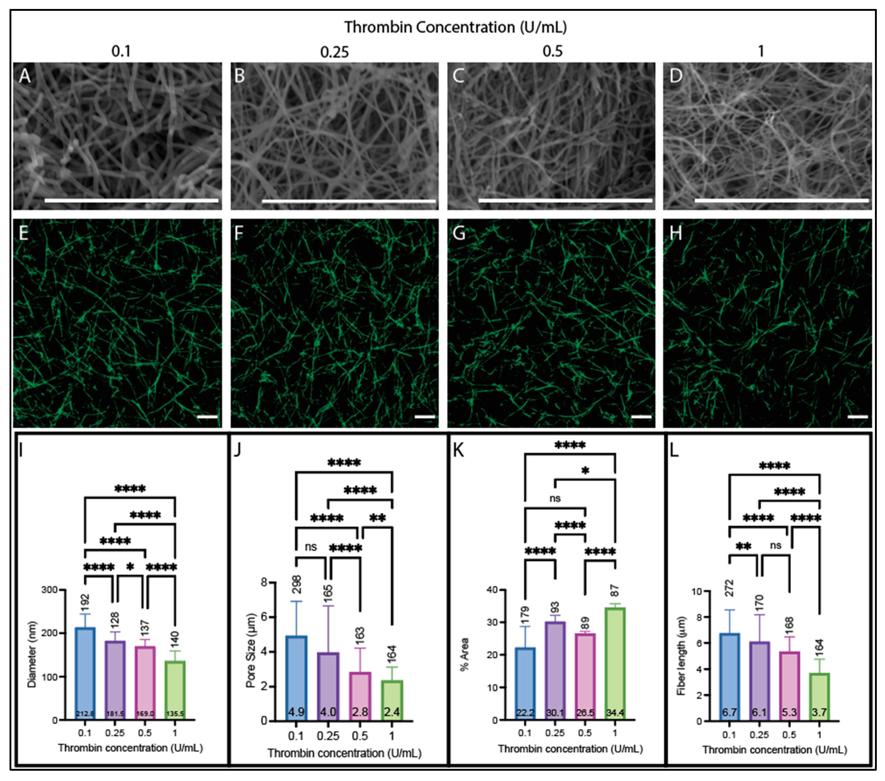 Biomolecules 14 00230 g004