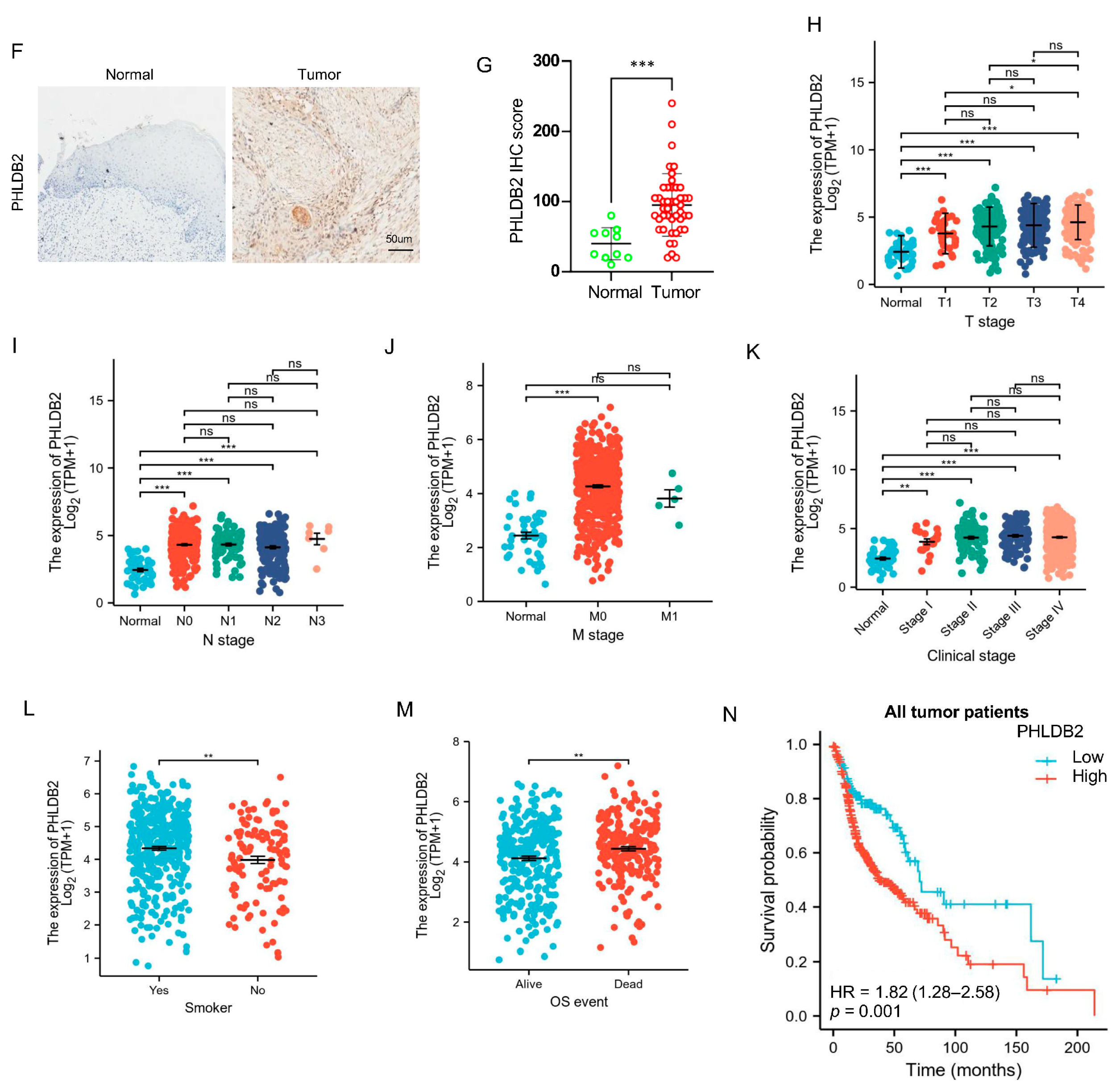 Biomolecules 14 00232 g001b