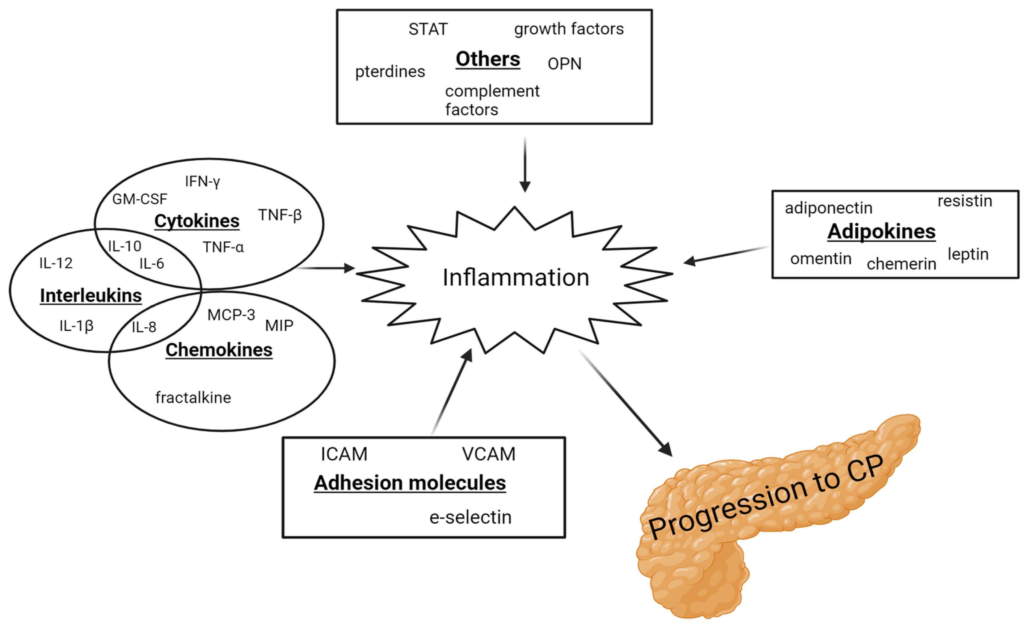 Biomolecules 14 00239 g001