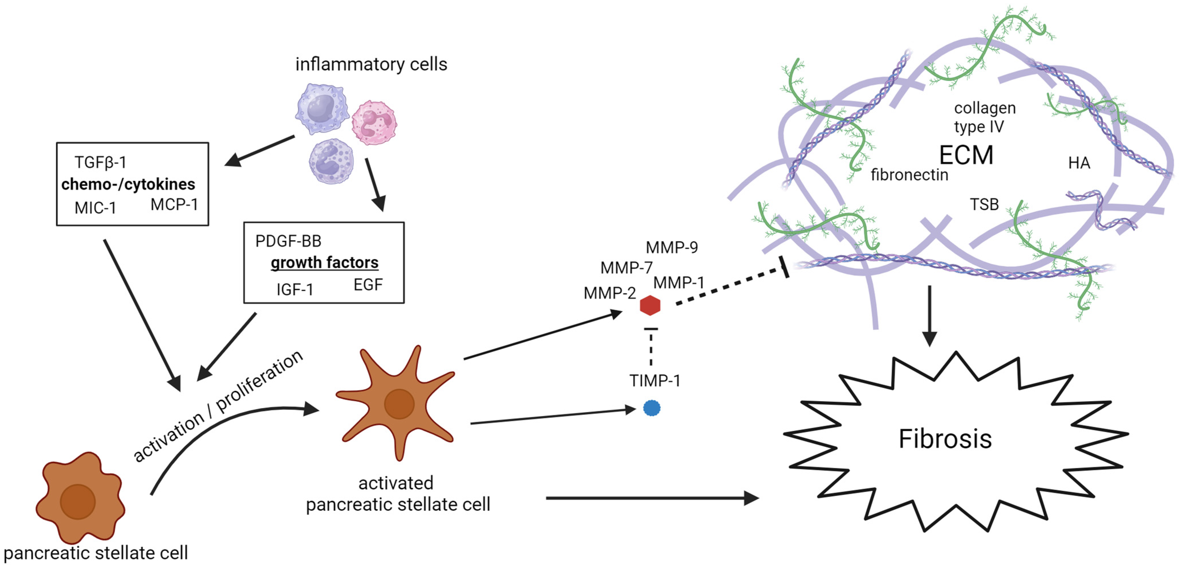Biomolecules 14 00239 g002