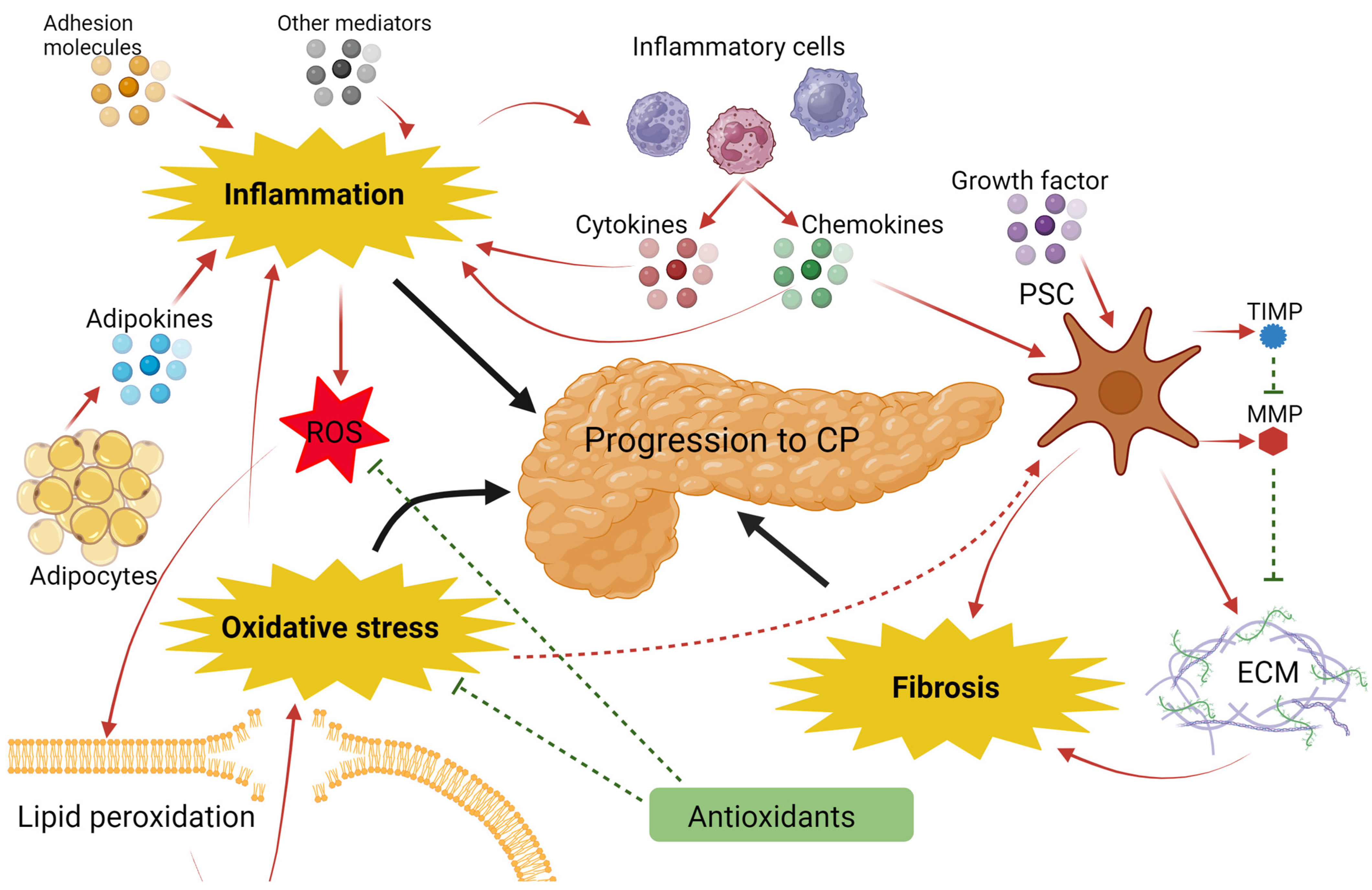 Biomolecules 14 00239 g004