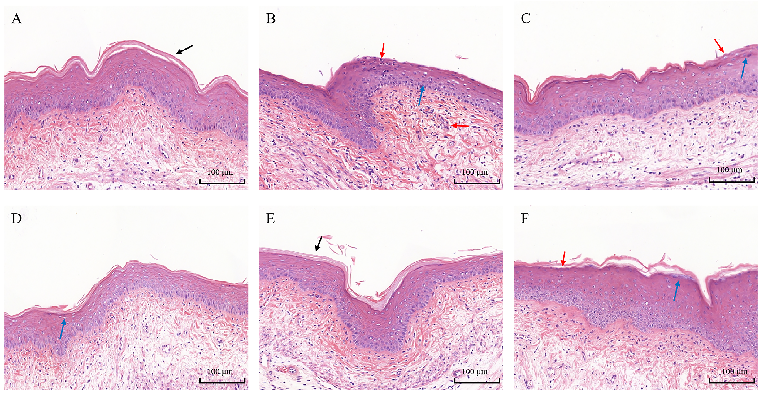 Biomolecules 14 00240 g006