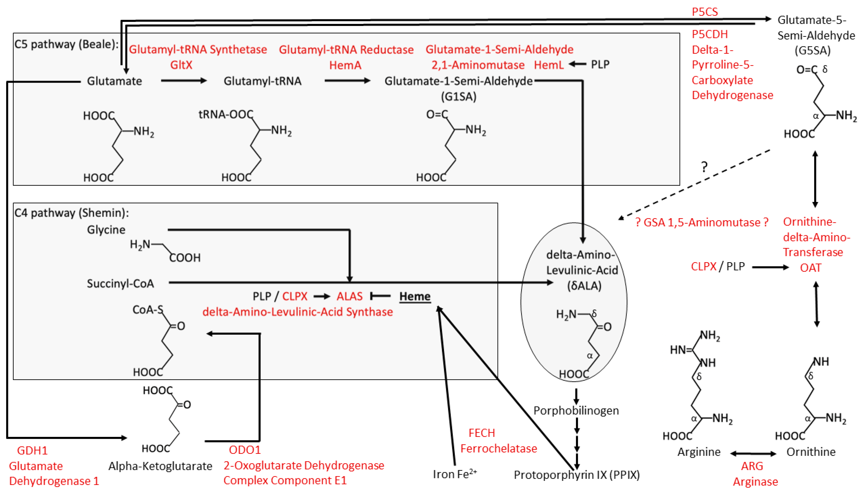 Biomolecules 14 00241 g001