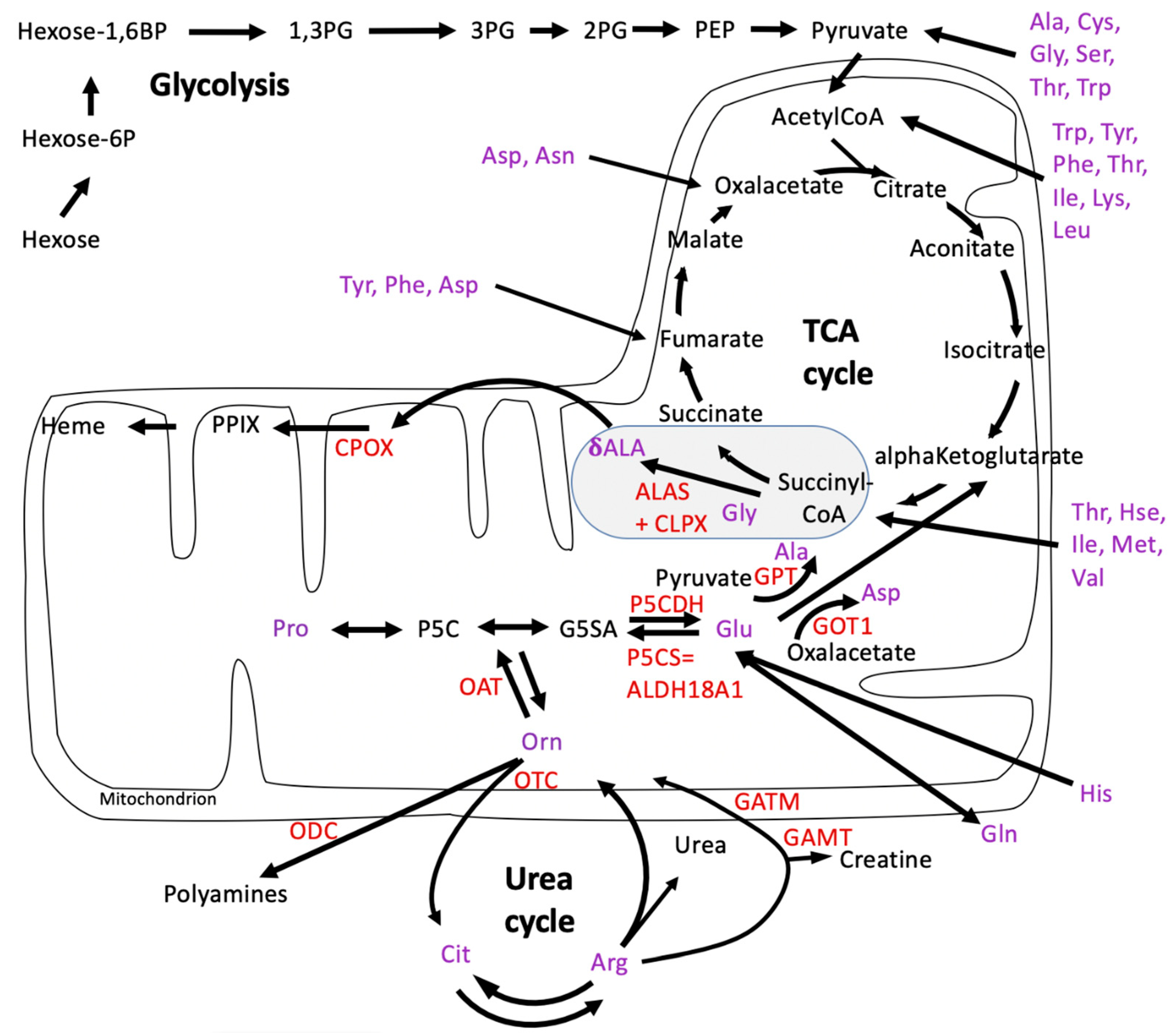 Biomolecules 14 00241 g002