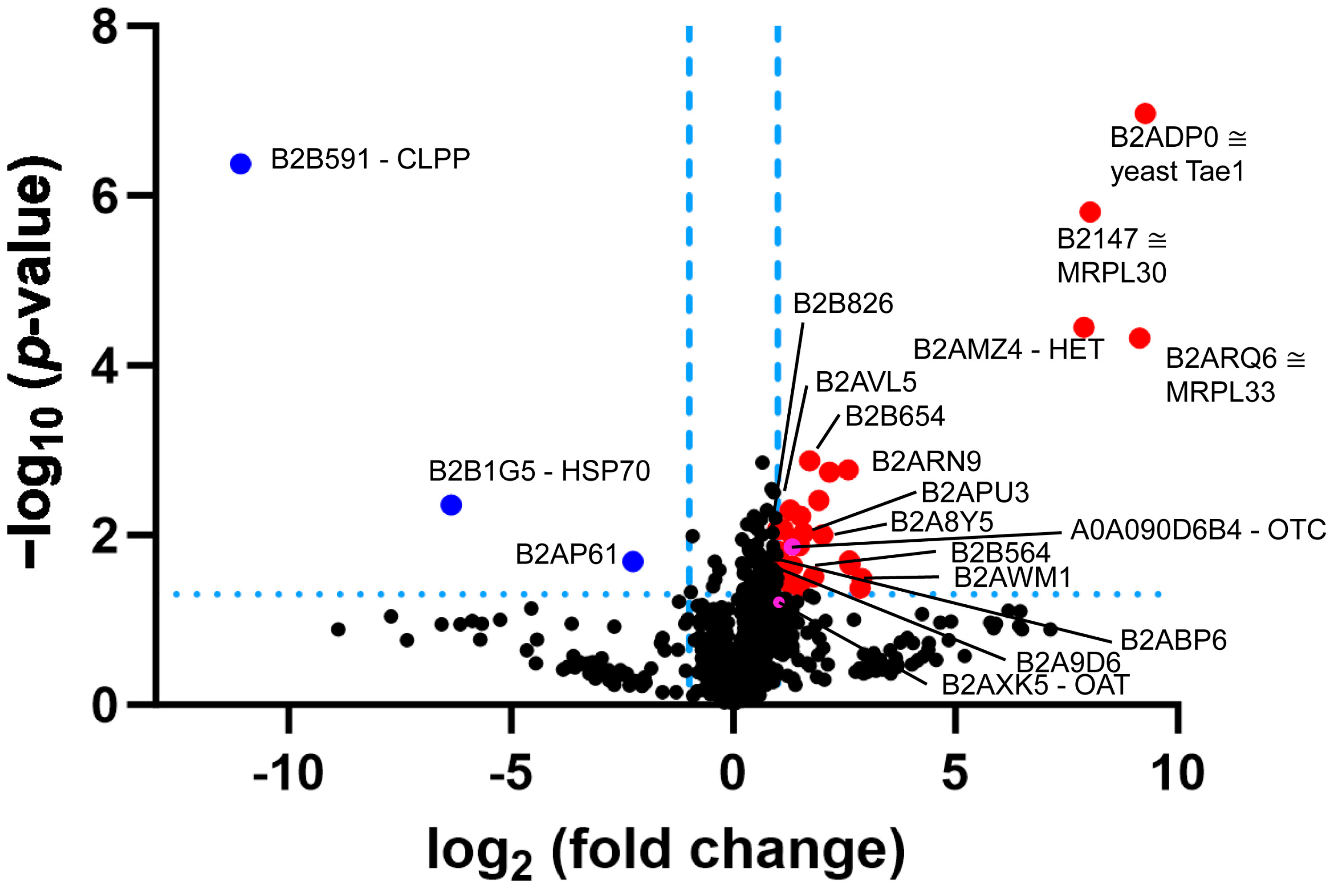 Biomolecules 14 00241 g004