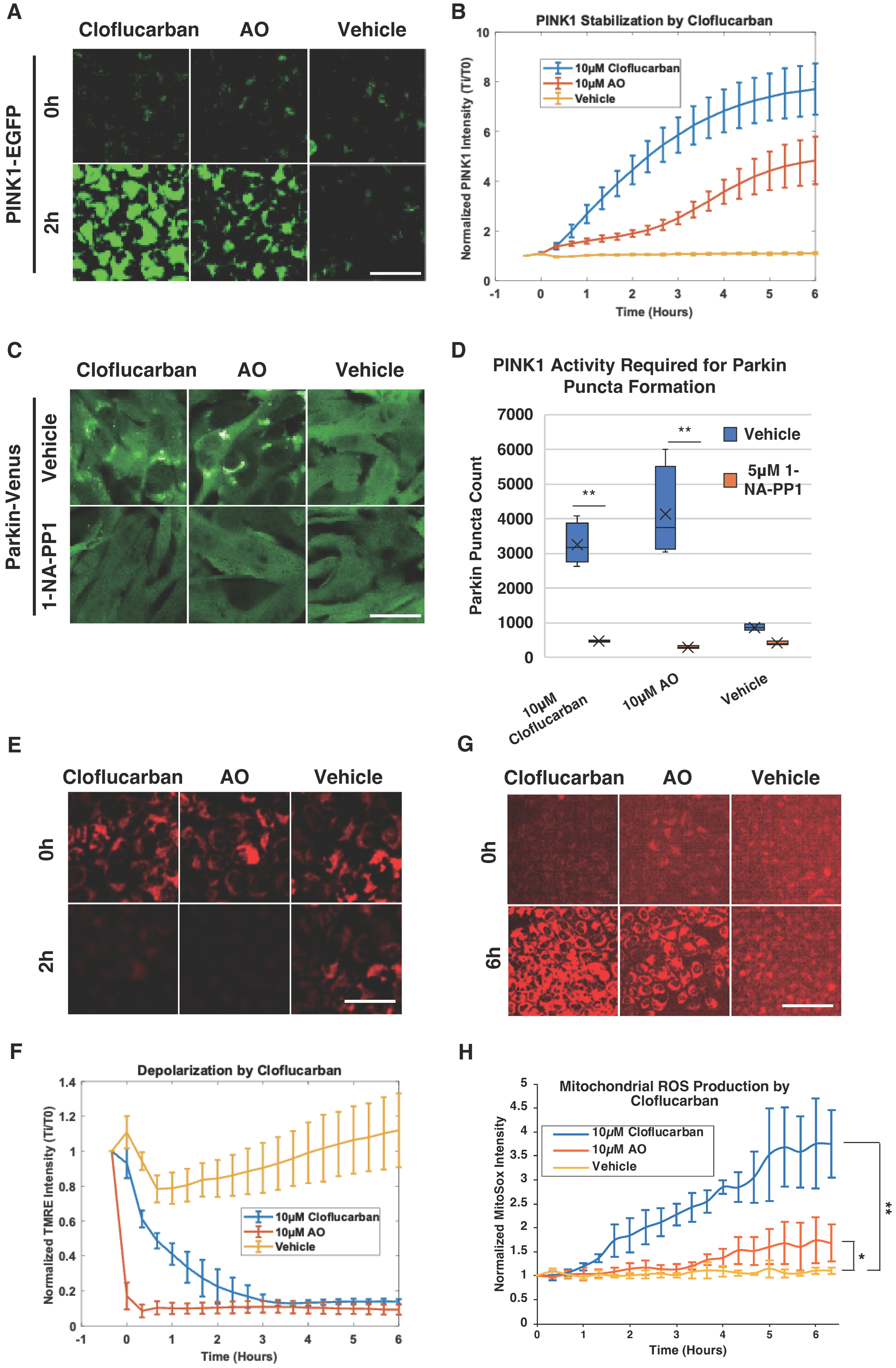 Biomolecules 14 00248 g003