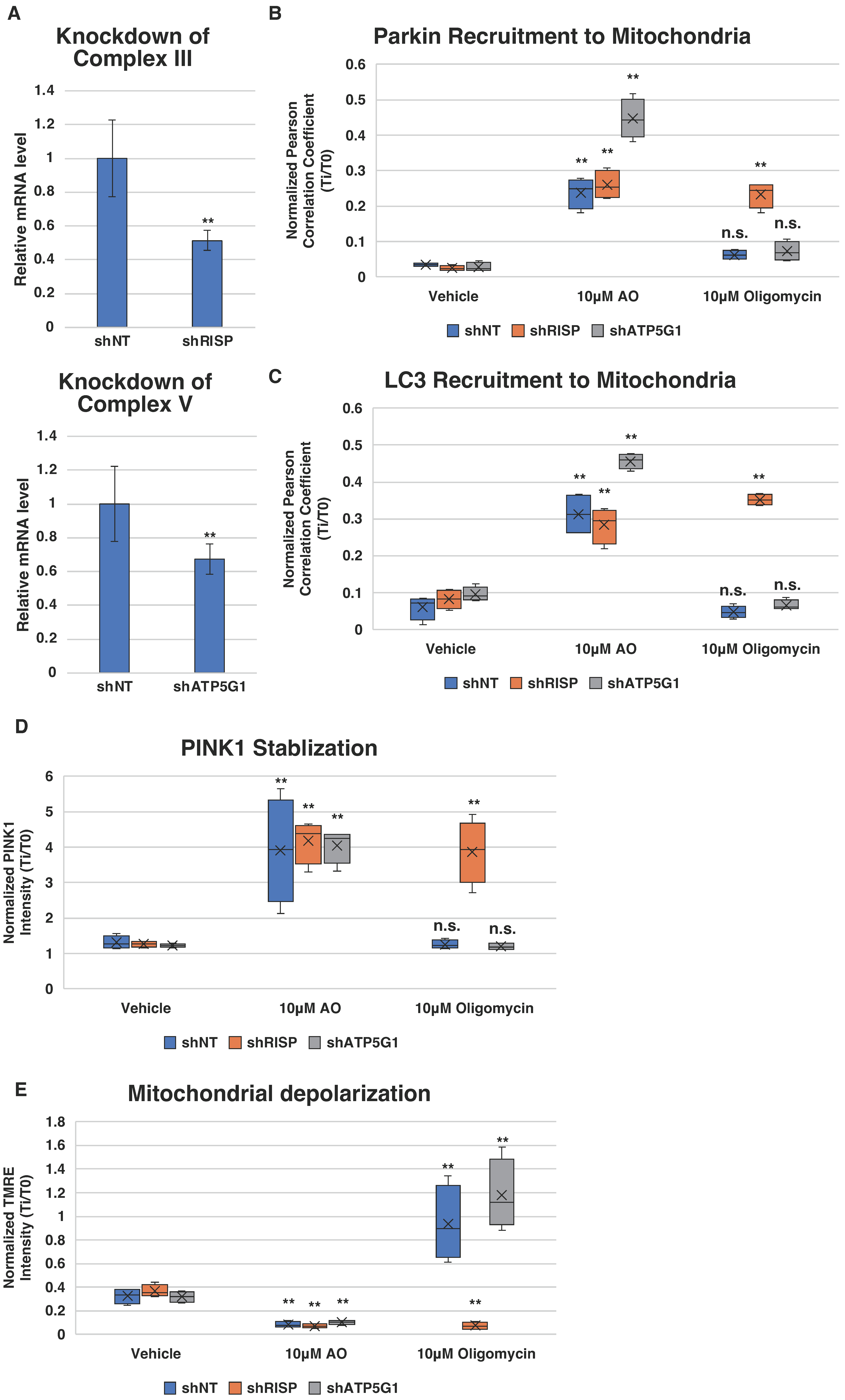 Biomolecules 14 00248 g004