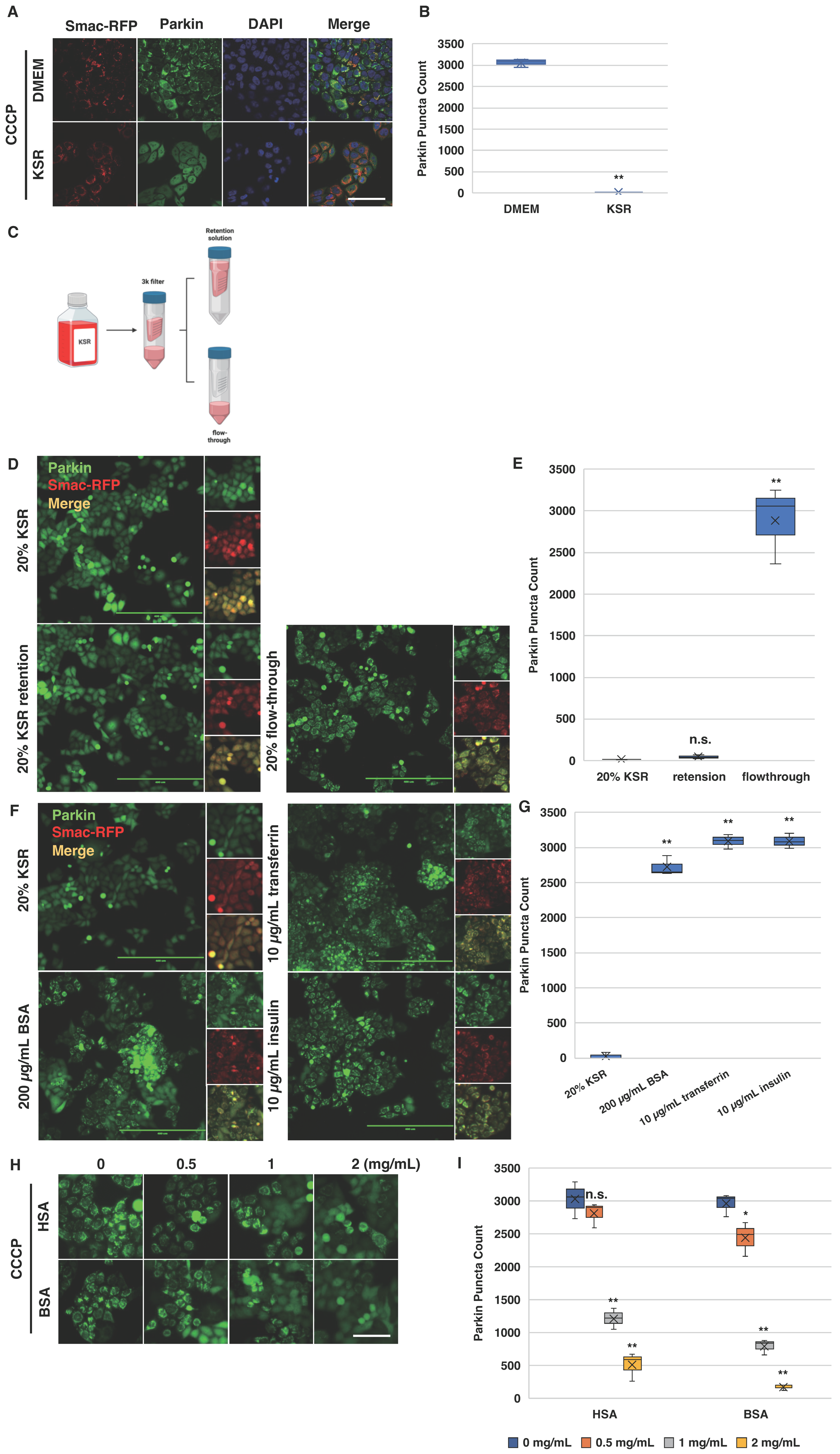 Biomolecules 14 00248 g005