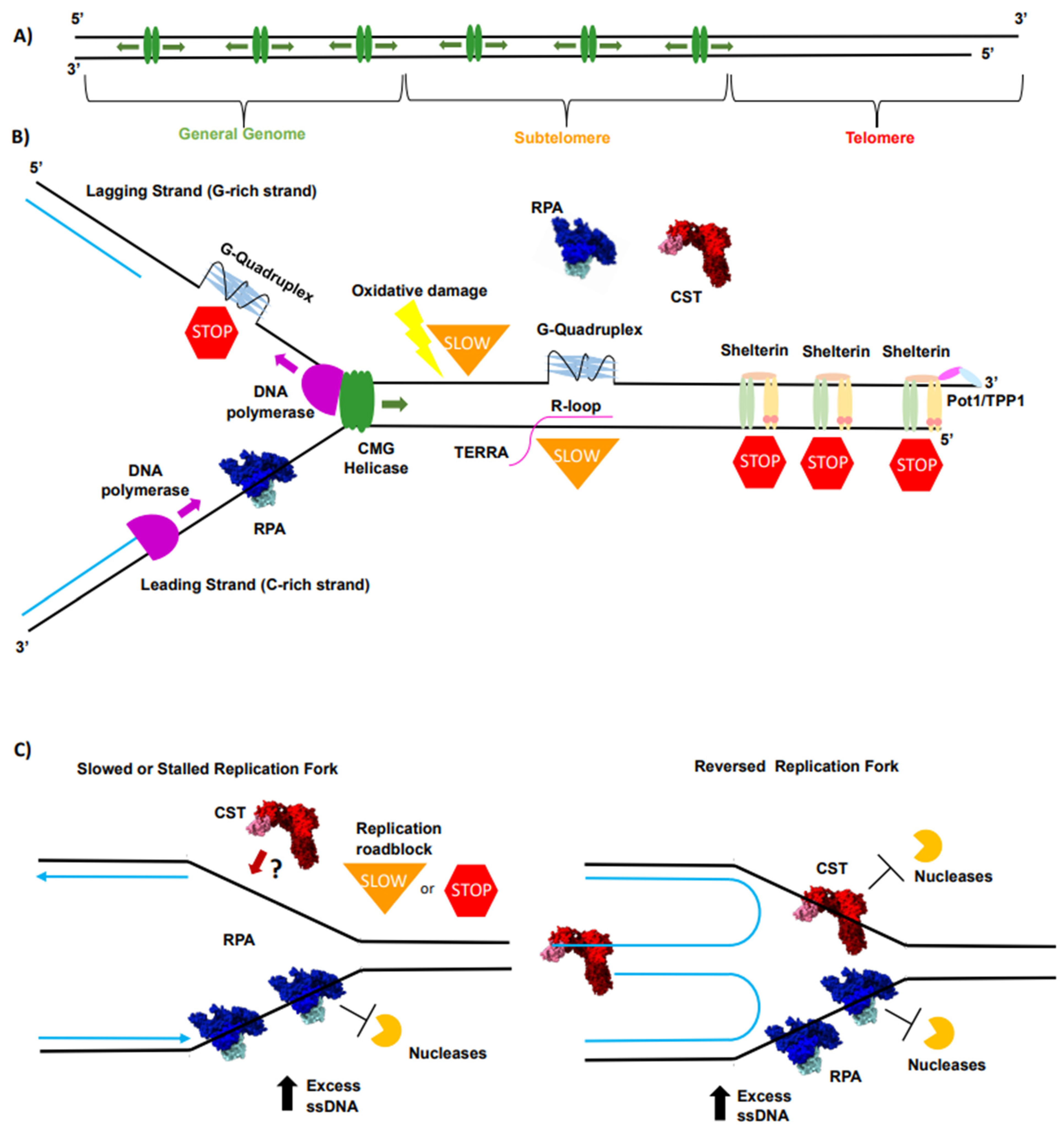 Biomolecules 14 00263 g001
