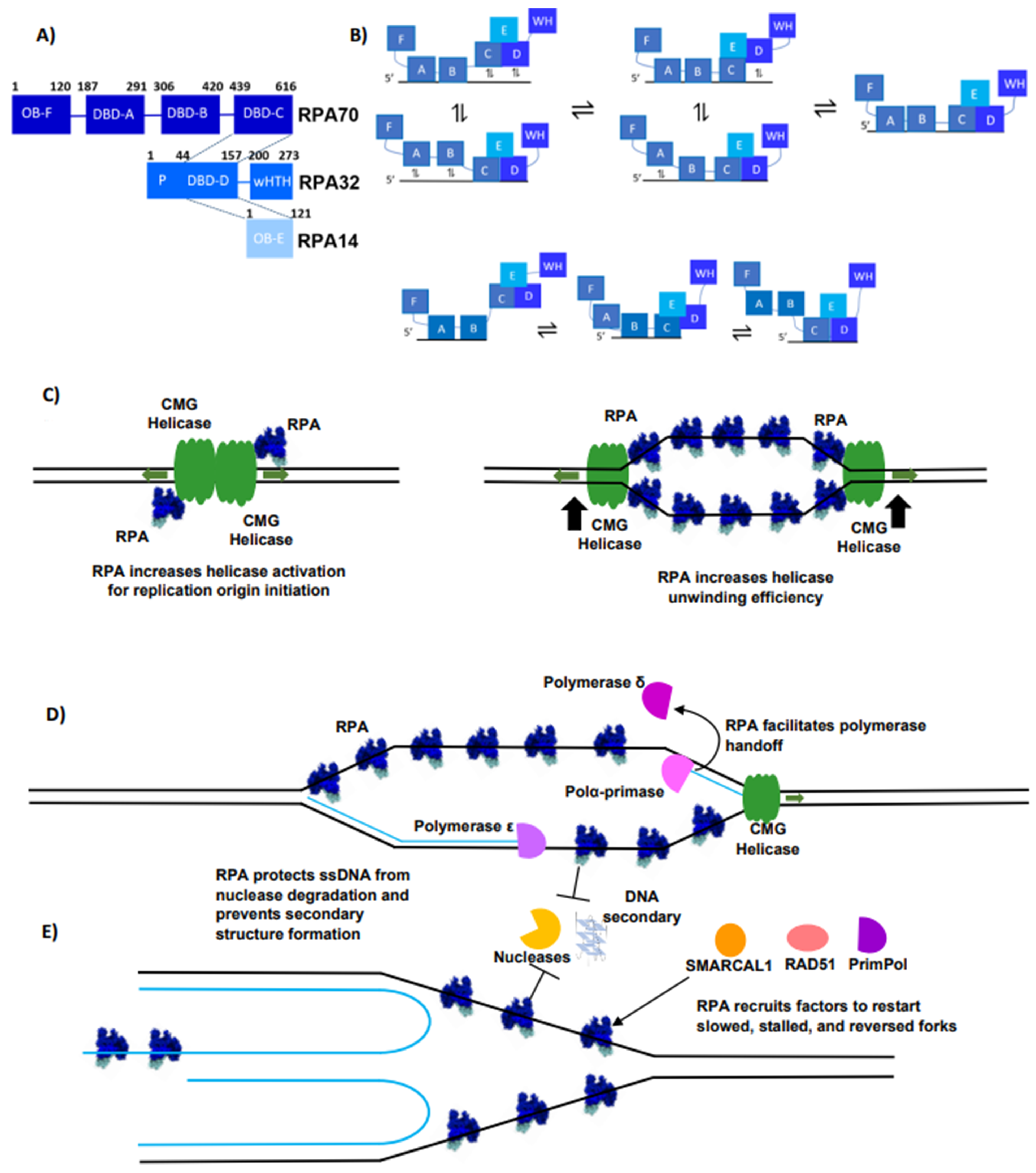 Biomolecules 14 00263 g002