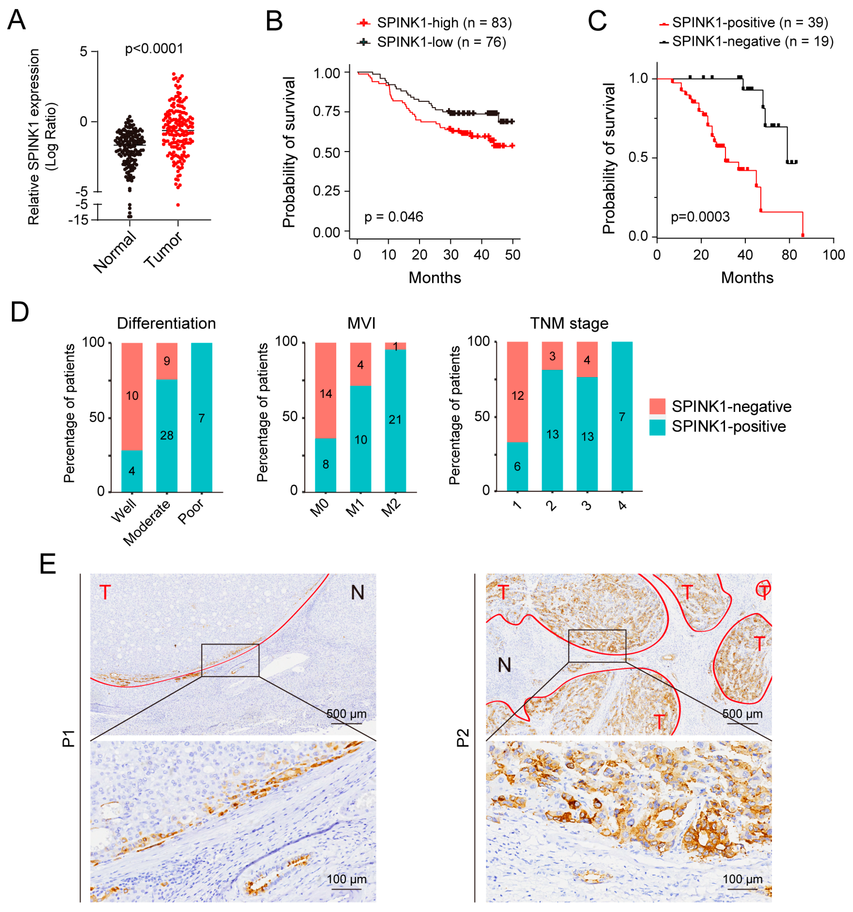 Biomolecules 14 00265 g001